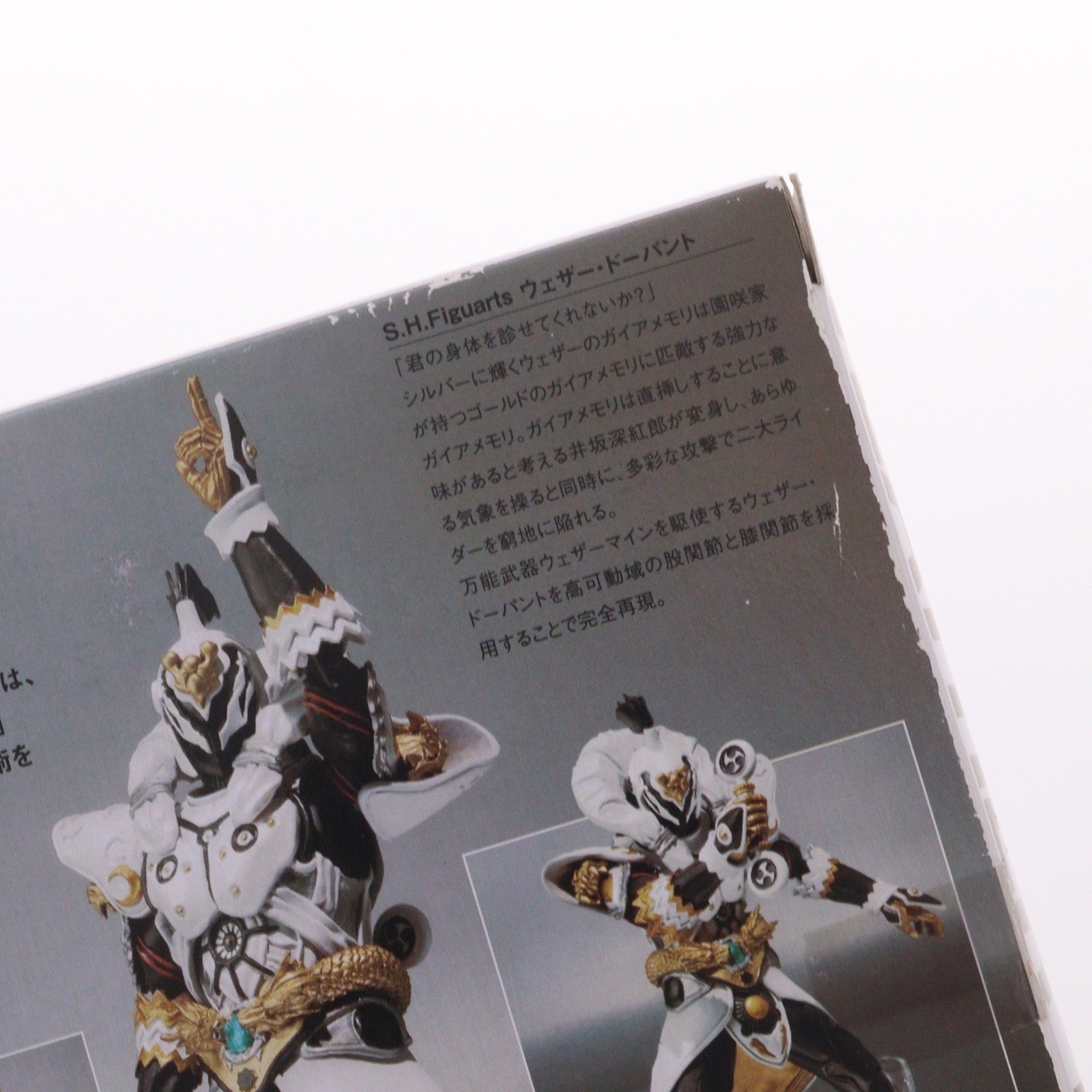 【中古即納】[FIG] 魂ウェブ商店限定 S.H.Figuarts(フィギュアーツ) ウェザー・ドーパント 仮面ライダーW(ダブル) 完成品 可動フィギュア バンダイ(20101224)