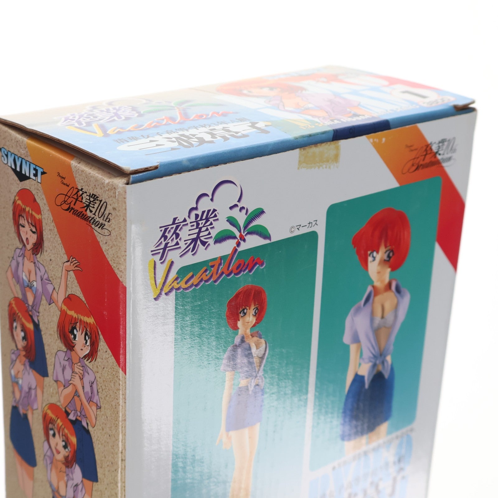【中古即納】[SFT] SKYNET フィギュアメイトシリーズ NO.1 三波亮子(みなみりょうこ) 清華女子高等学校3年A組 卒業Vacation 1/6 完成品 ソフビフィギュア アオシマ(19991231)
