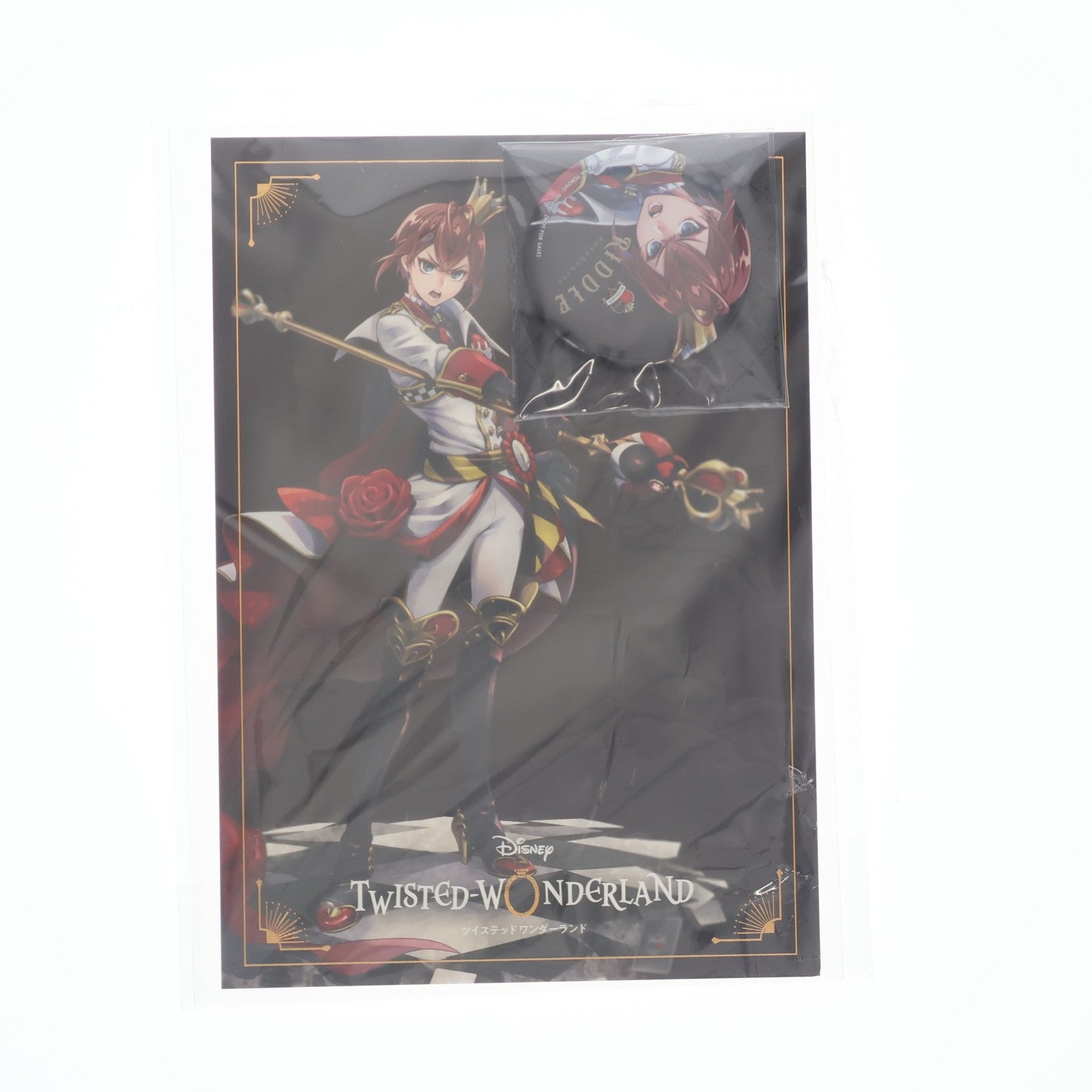 【中古即納】[FIG] ANIPLEX+限定 特典缶バッジ&ポストカード付属 リドル・ローズハート ディズニー ツイステッドワンダーランド 1/8 完成品 フィギュア アニプレックス(20210630)