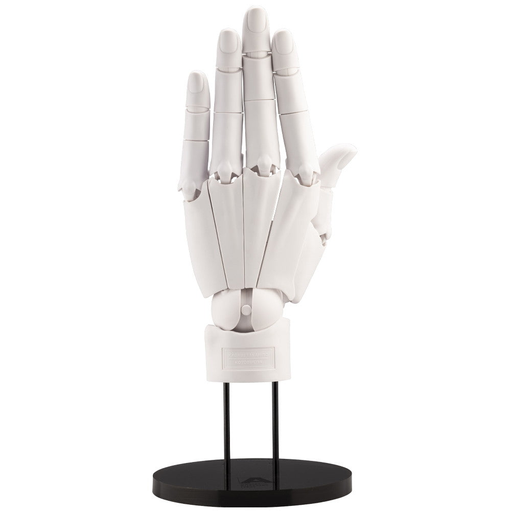 【中古即納】[FIG] ARTIST SUPPORT ITEM ハンドモデル/L -WHITE- 1/1 完成品 可動フィギュア(AT008) コトブキヤ(20241030)