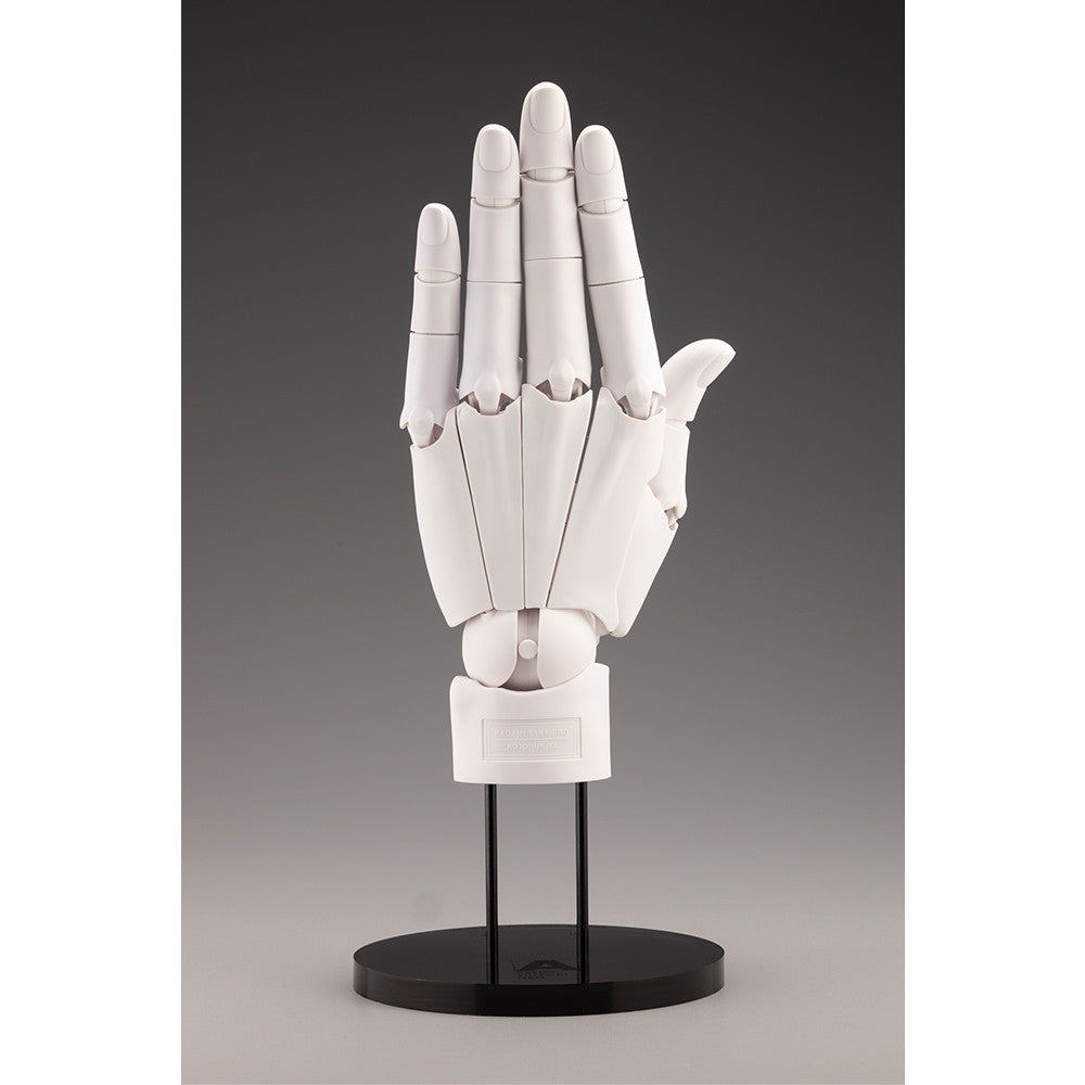【中古即納】[FIG] ARTIST SUPPORT ITEM ハンドモデル/L -WHITE- 1/1 完成品 可動フィギュア(AT008) コトブキヤ(20241030)