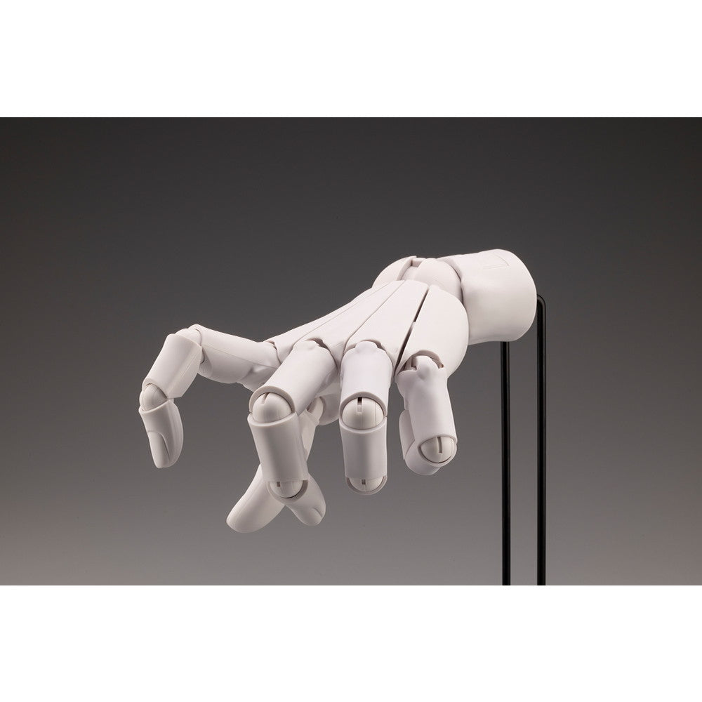 【中古即納】[FIG] ARTIST SUPPORT ITEM ハンドモデル/L -WHITE- 1/1 完成品 可動フィギュア(AT008) コトブキヤ(20241030)