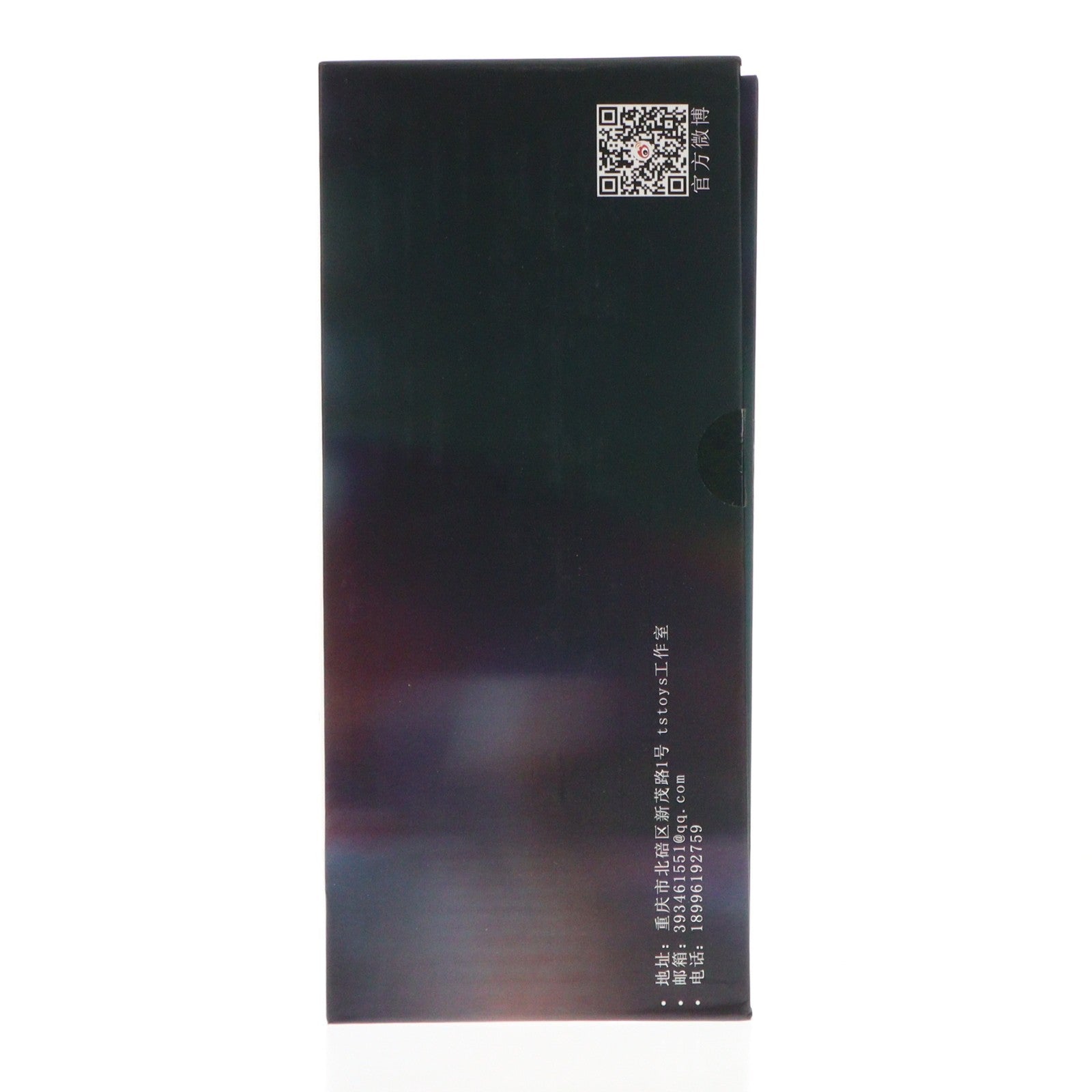 【中古即納】[FIG] ゲーマーガール 1/6 完成品 フィギュア TS Toys(20210531)