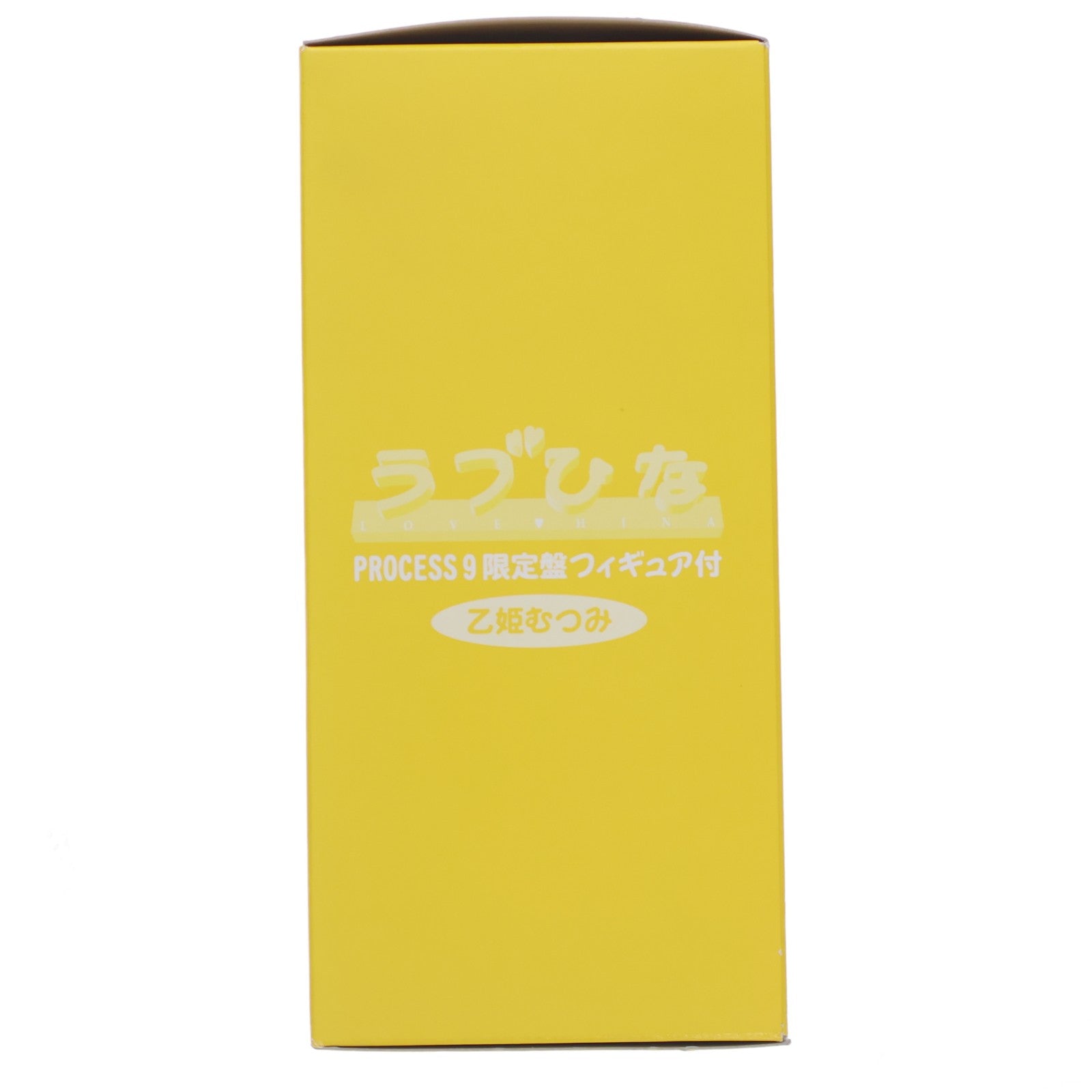 【中古即納】[FIG] (特典単品) 乙姫むつみ(おとひめむつみ) ラブひな PROCESS9 予約限定生産DVD特典 完成品 フィギュア キングレコード(20010502)