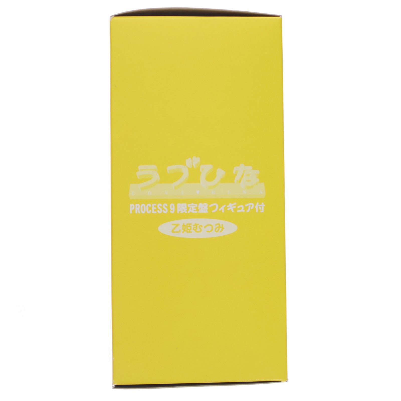 【中古即納】[FIG] (特典単品) 乙姫むつみ(おとひめむつみ) ラブひな PROCESS9 予約限定生産DVD特典 完成品 フィギュア キングレコード(20010502)