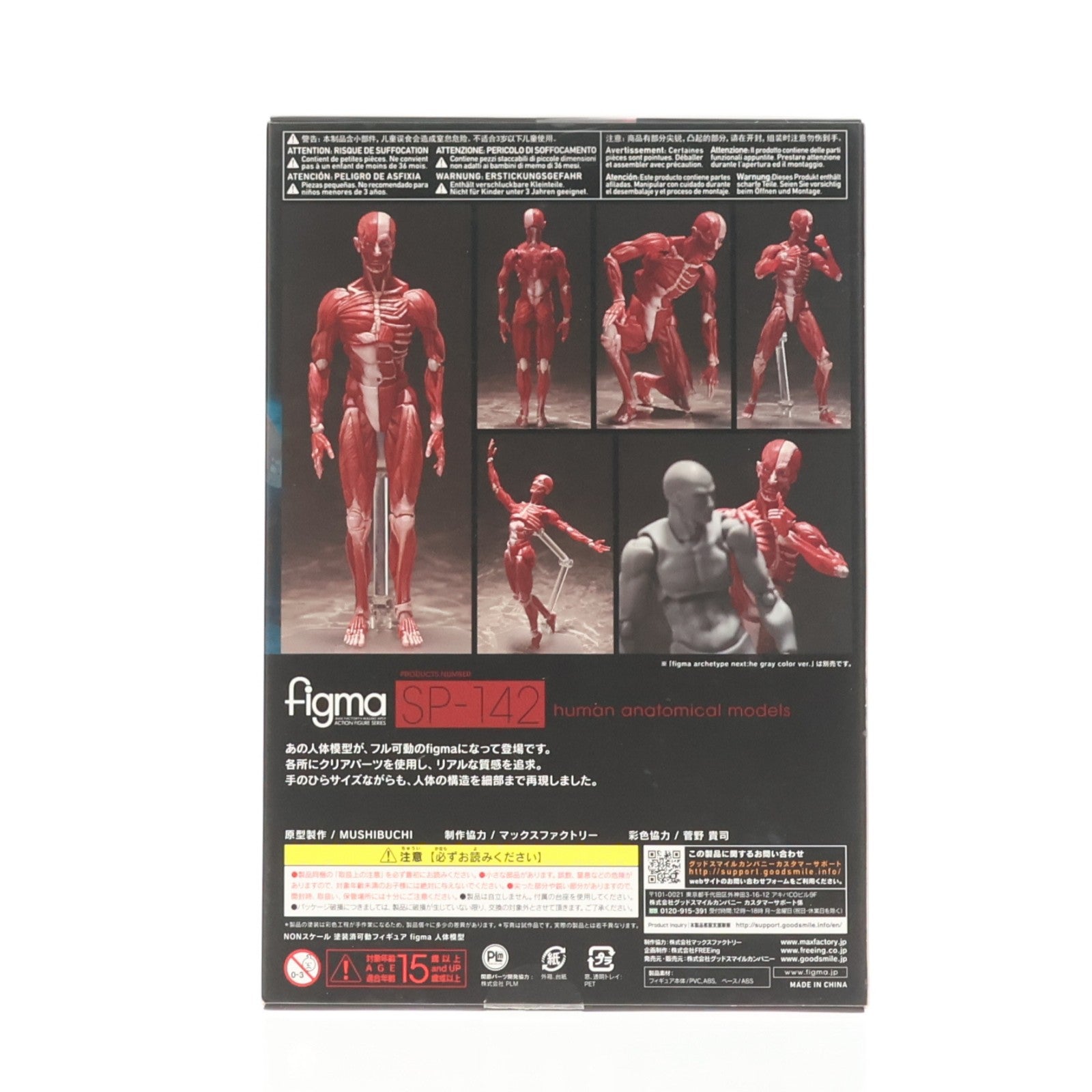 【中古即納】[FIG] figma(フィグマ) SP-142 人体模型(じんたいもけい) 完成品 可動フィギュア FREEing(フリーイング)(20220428)