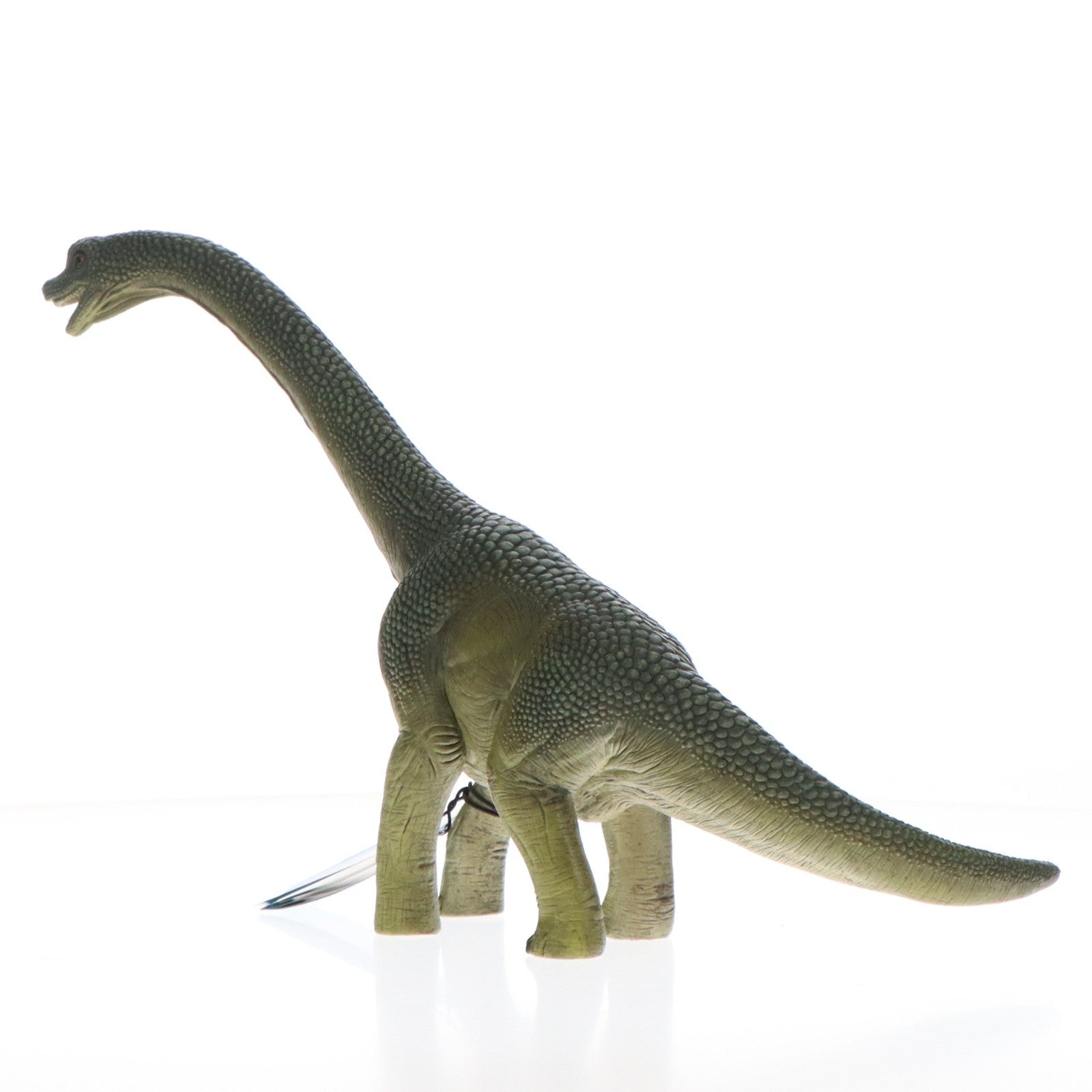 【中古即納】[FIG] DINOSAURS -ダイナソー- No.14581 ブラキオサウルス 完成品 フィギュア(14581) Schleich(シュライヒ)(20170106)