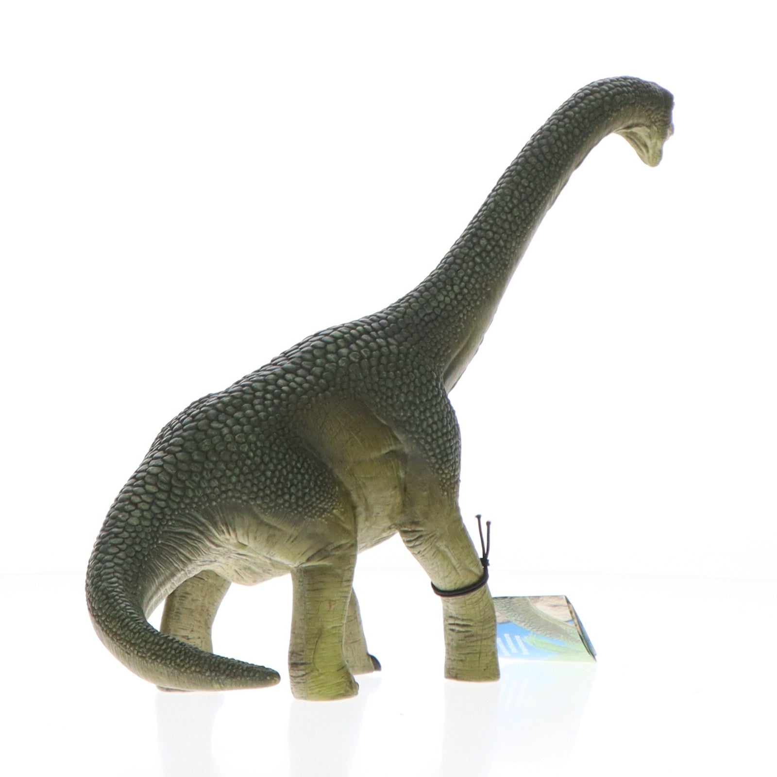 【中古即納】[FIG] DINOSAURS -ダイナソー- No.14581 ブラキオサウルス 完成品 フィギュア(14581) Schleich(シュライヒ)(20170106)