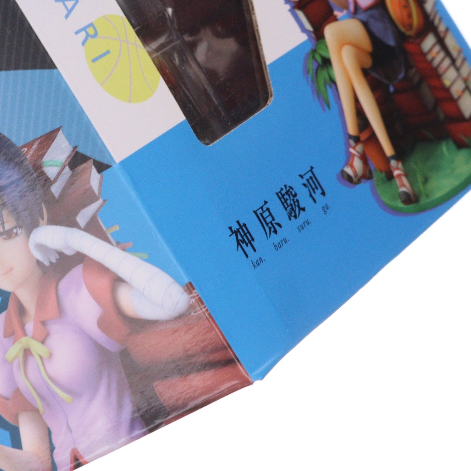 【中古即納】[FIG] 神原駿河(かんばるするが) 化物語 1/8 完成品 フィギュア グッドスマイルカンパニー(20110802)