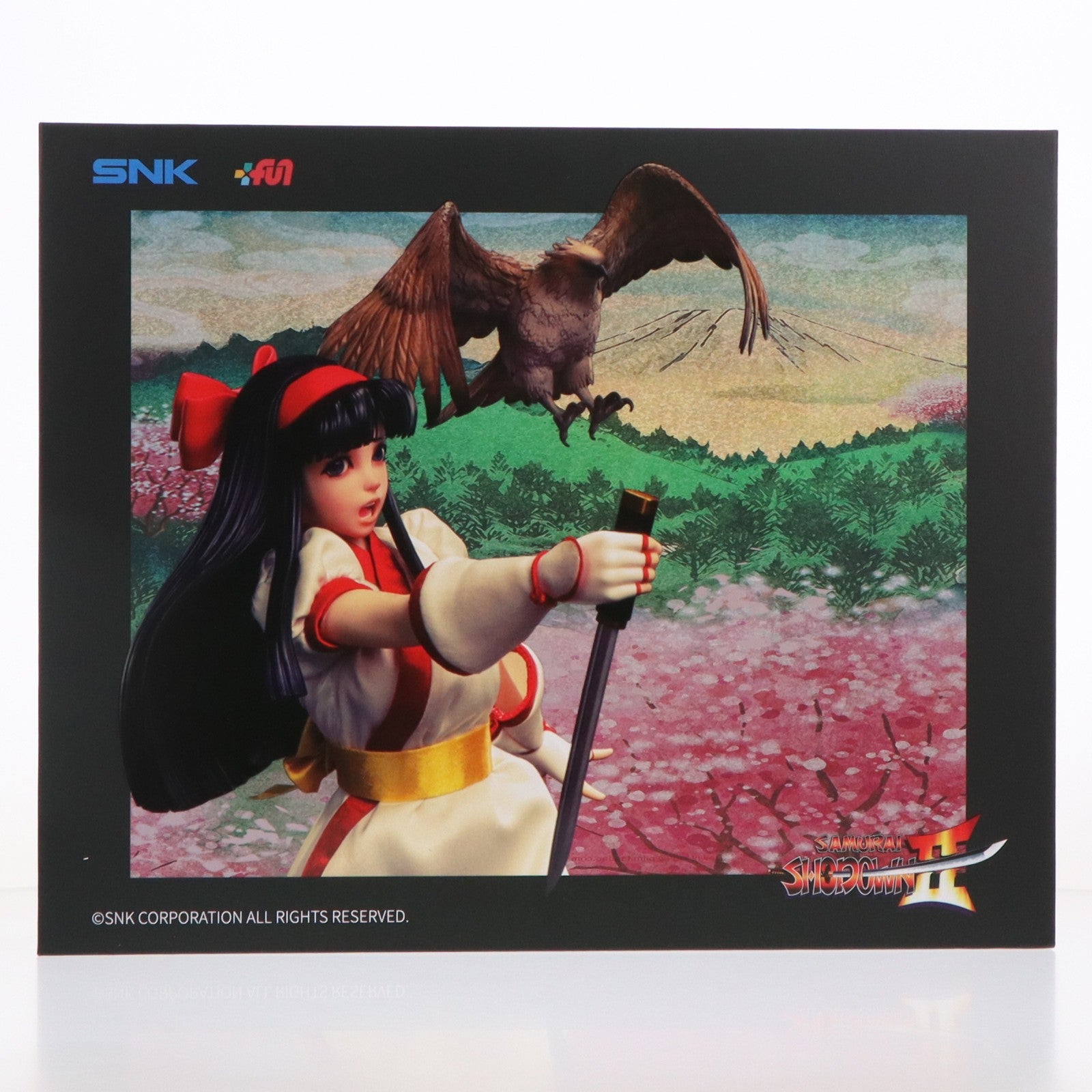 【中古即納】[FIG] 予約特典付属 ナコルル 真サムライスピリッツ 覇王丸地獄変 1/6 コレクティブル フィギュア 完成品 可動フィギュア(TS-018)(海外流通版) TUNSHI STUDIO(タンシスタジオ)(20260531)