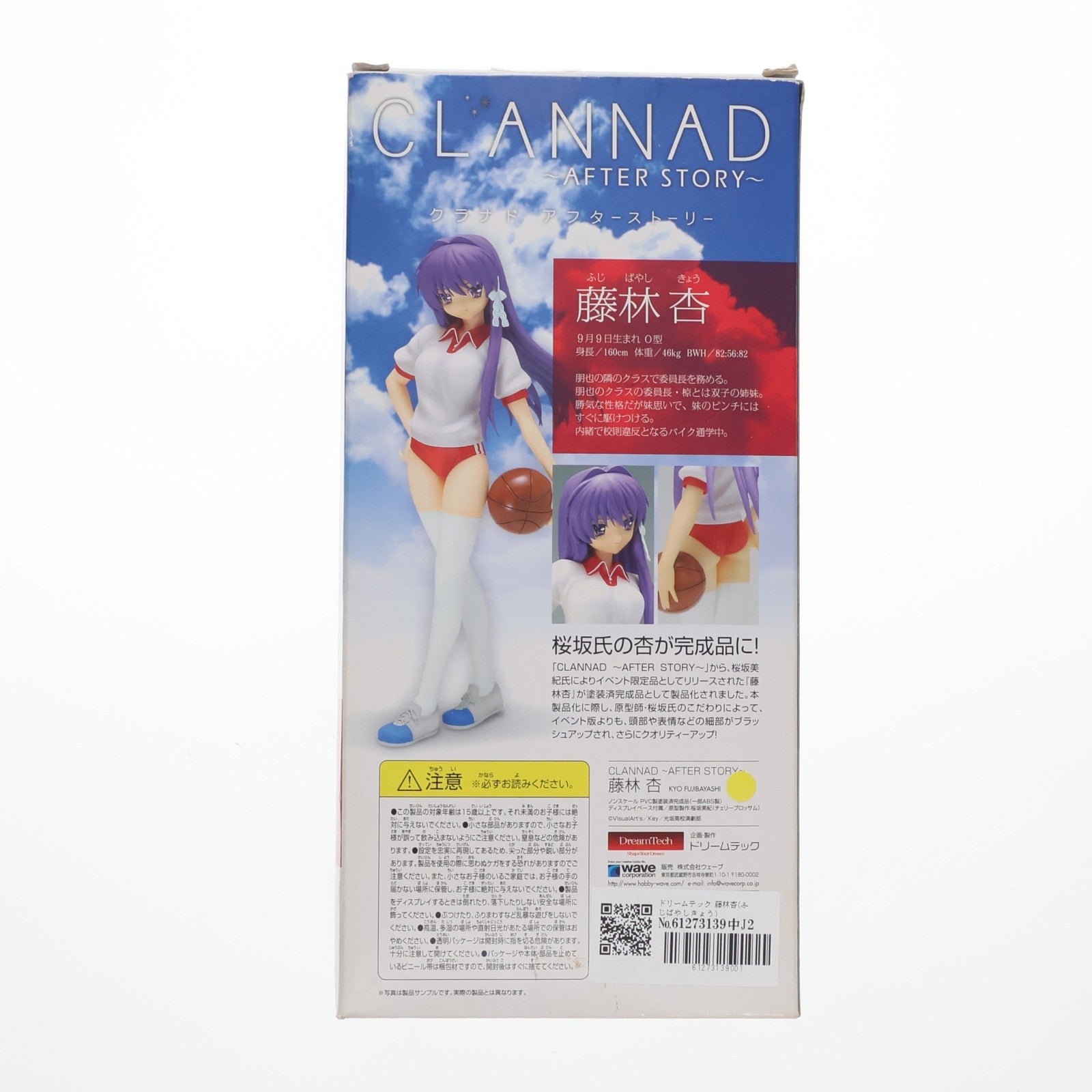 【中古即納】[FIG] ドリームテック 藤林杏(ふじばやしきょう) CLANNAD ～AFTER STORY～(クラナド アフターストーリー) 1/7 完成品 フィギュア ウェーブ(WAVE)(20100601)