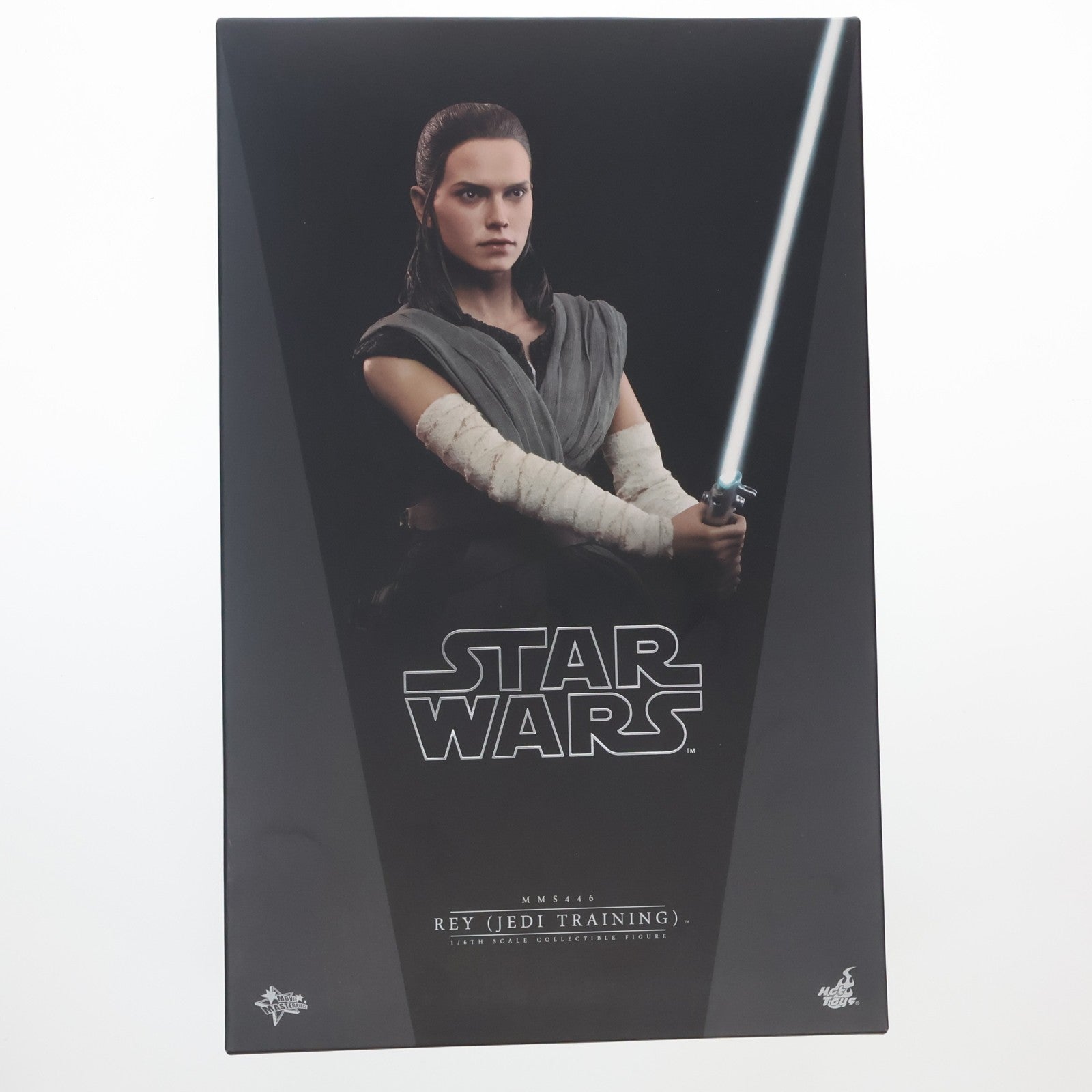 【中古即納】[FIG] ムービー・マスターピース レイ(ジェダイ・トレーニング版) STAR WARS(スター・ウォーズ)/最後のジェダイ 1/6 完成品 可動フィギュア(MM#446) ホットトイズ(20180726)