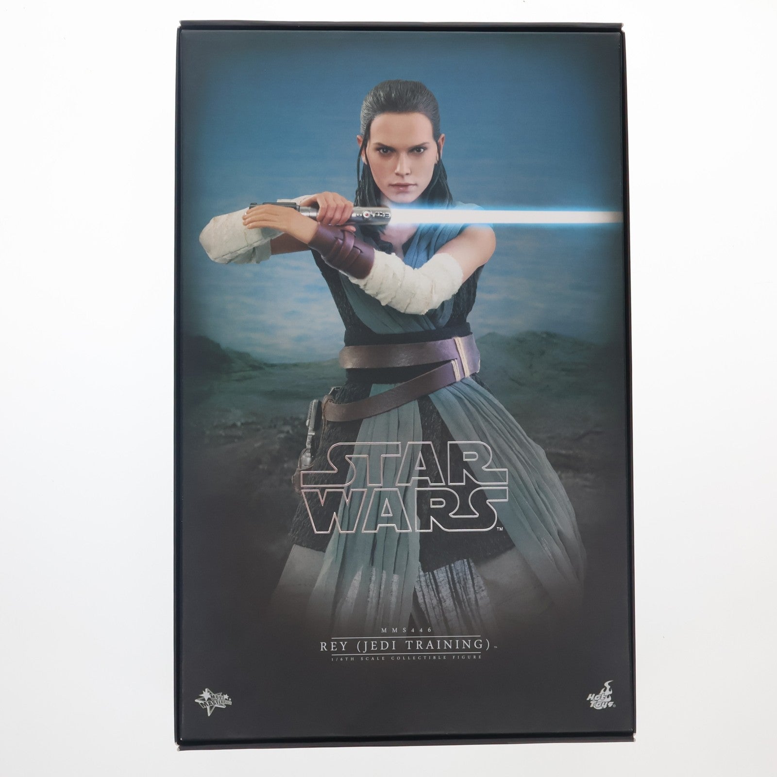【中古即納】[FIG] ムービー・マスターピース レイ(ジェダイ・トレーニング版) STAR WARS(スター・ウォーズ)/最後のジェダイ 1/6 完成品 可動フィギュア(MM#446) ホットトイズ(20180726)