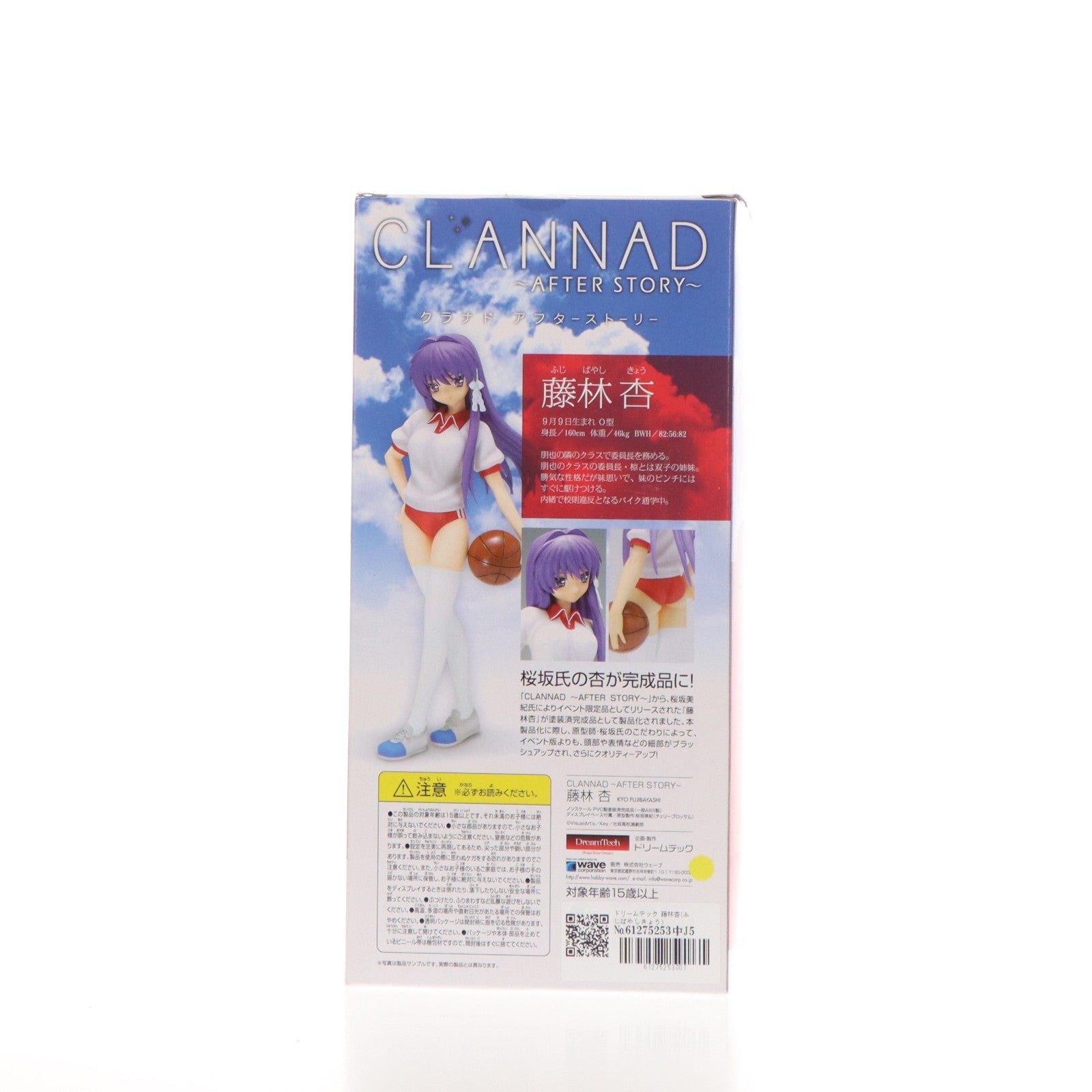 【中古即納】[FIG] ドリームテック 藤林杏(ふじばやしきょう) CLANNAD ～AFTER STORY～(クラナド アフターストーリー) 1/7 完成品 フィギュア ウェーブ(WAVE)(20100601)