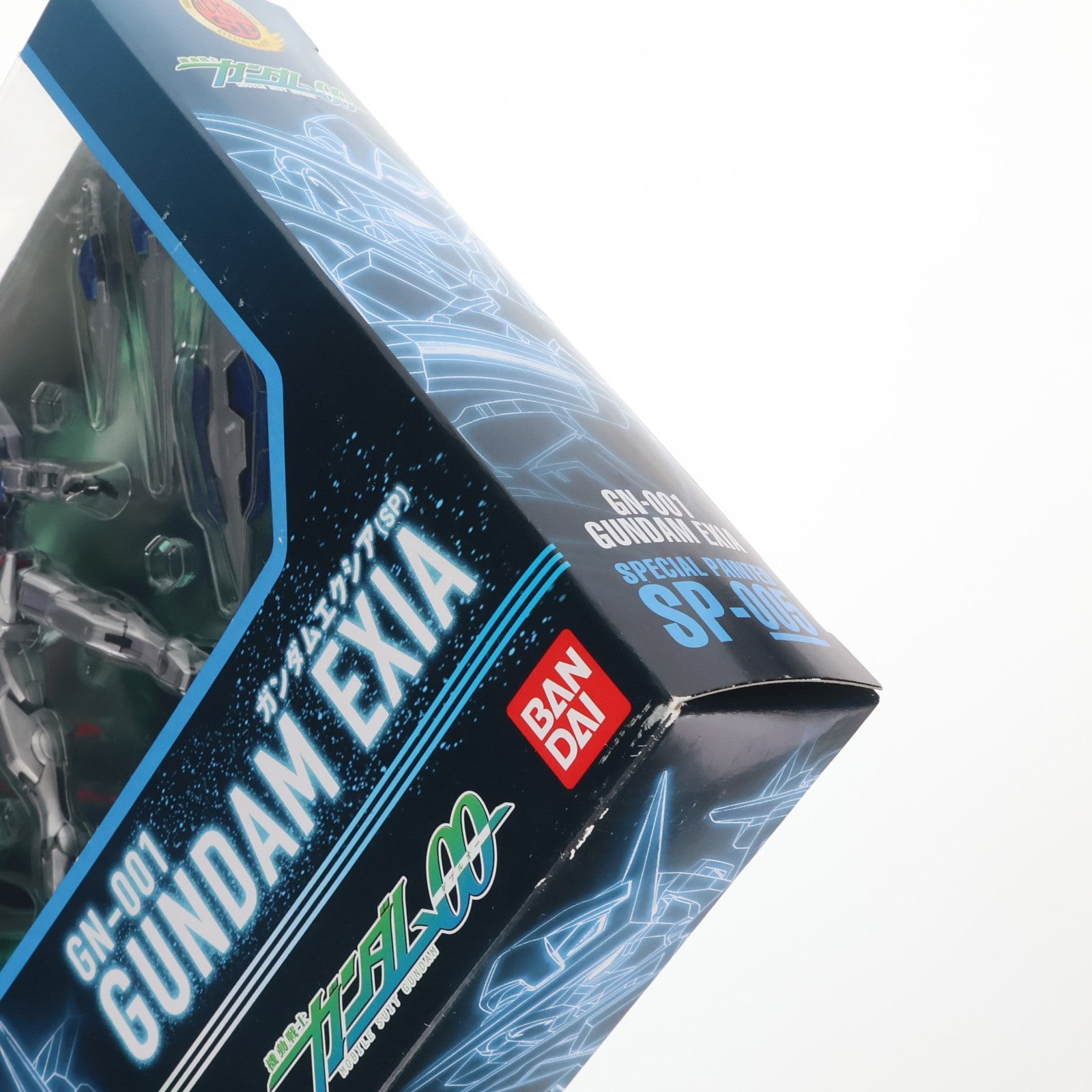 【中古即納】[FIG] HCM-Pro SP-005 GN-001 ガンダムエクシア スペシャルペインテッド 機動戦士ガンダム00(ダブルオー) 1/200 完成品 可動フィギュア バンダイ(20080223)