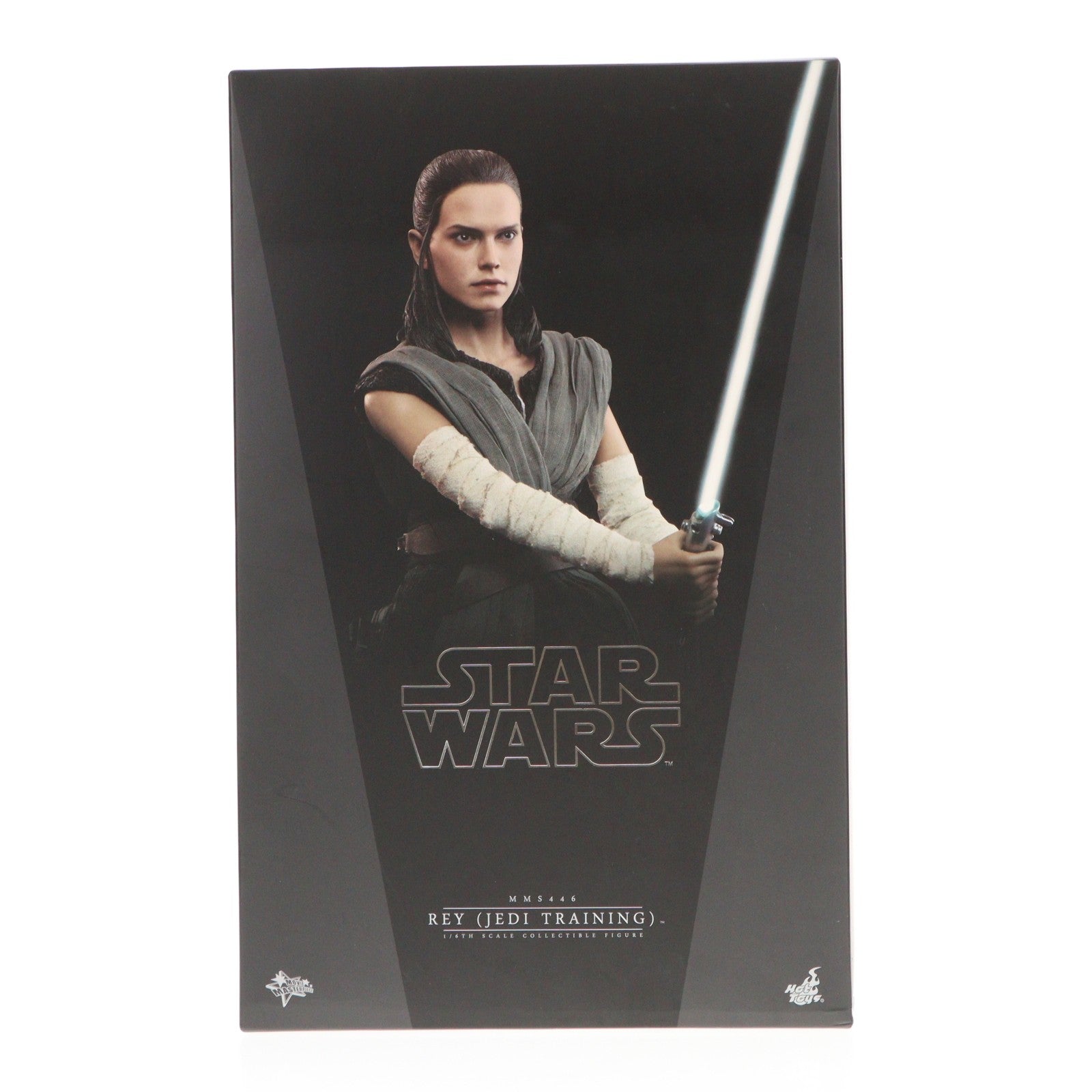 【中古即納】[FIG] ムービー・マスターピース レイ(ジェダイ・トレーニング版) STAR WARS(スター・ウォーズ)/最後のジェダイ 1/6 完成品 可動フィギュア(MM#446) ホットトイズ(20180726)