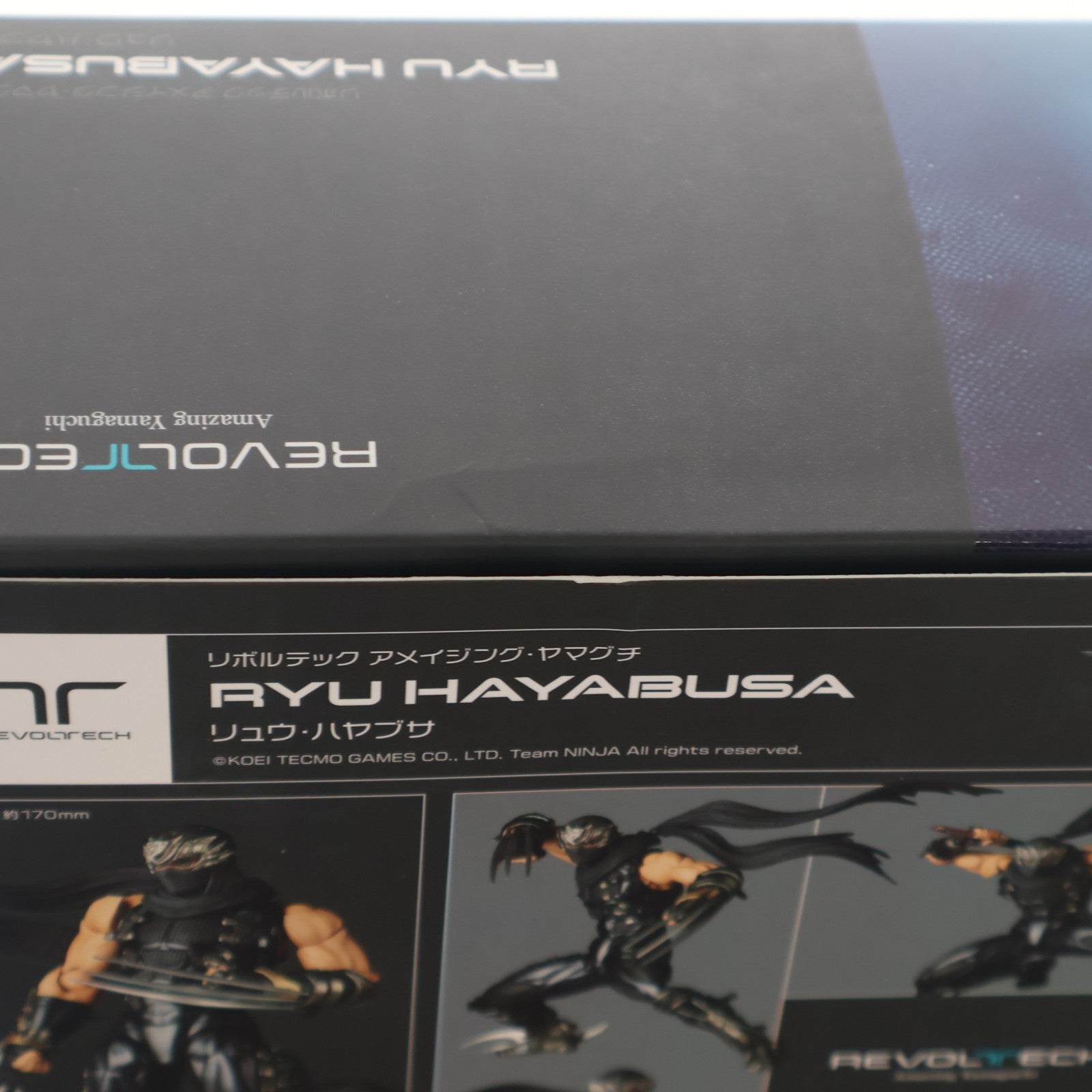 【中古即納】[FIG] アメイジング・ヤマグチ リュウ・ハヤブサ NINJA GAIDEN(ニンジャガイデン) 完成品 可動フィギュア(NR052) 海洋堂(20250131)