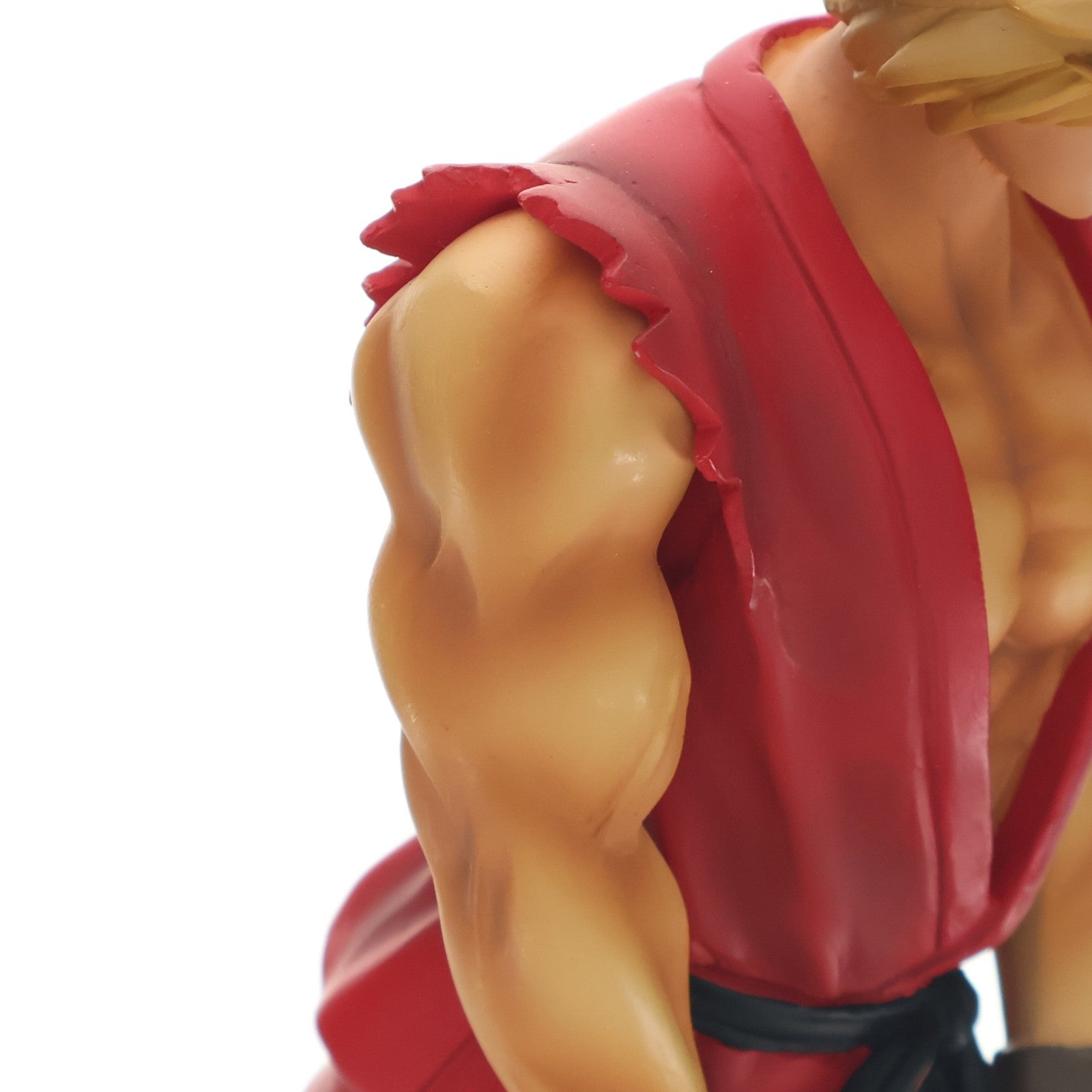 【中古即納】[FIG] KEN MASTERS(ケン・マスターズ) COLLECTOR'S EDITION PREMIUM QUALITY RESIN STATUE ストリートファイター 完成品 フィギュア SOTA TOYS(ソタトイズ)(20091231)