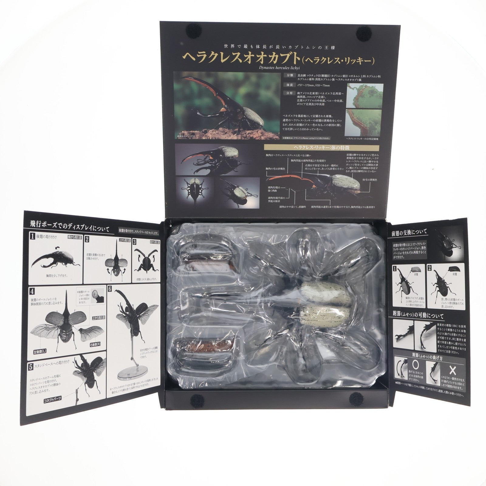 【中古即納】[FIG] ガシャポンオンライン限定 いきもの大図鑑プレミアム ヘラクレスオオカブト(ヘラクレス・リッキー) 組立品 可動フィギュア(2748210) バンダイ(20240731)