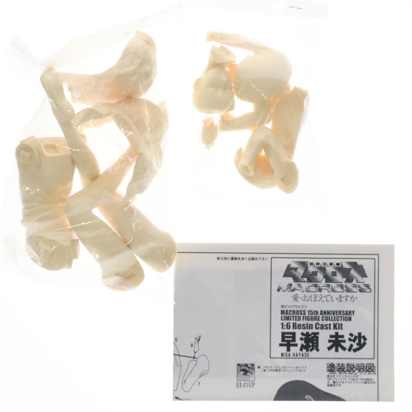 【中古即納】[FIG] MACROSS 15th ANNIVERSARY LIMITED FIGURE COLLECTION 早瀬未沙(はやせみさ) 超時空要塞マクロス 愛・おぼえていますか 1/6 レジンキャストキット フィギュア CLUB M(19991231)