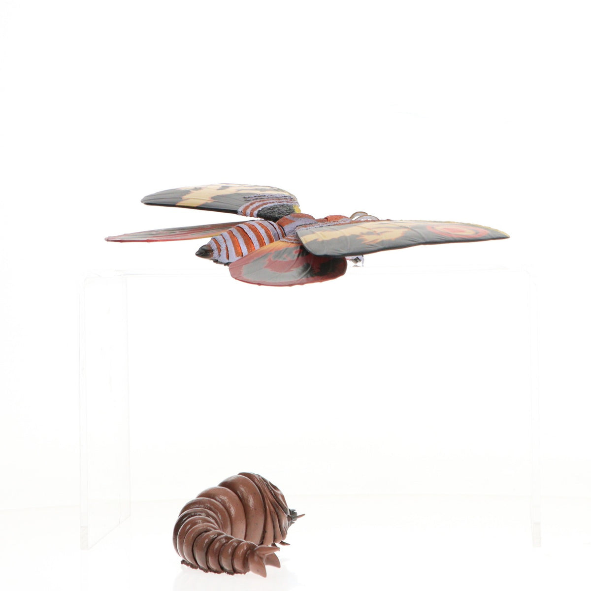 【中古即納】[FIG] 魂ウェブ商店限定 S.H.MonsterArts(モンスターアーツ) モスラ(成虫)&モスラ(幼虫) Special Color Ver. ゴジラVSモスラ 完成品 可動フィギュア バンダイ(20170831)