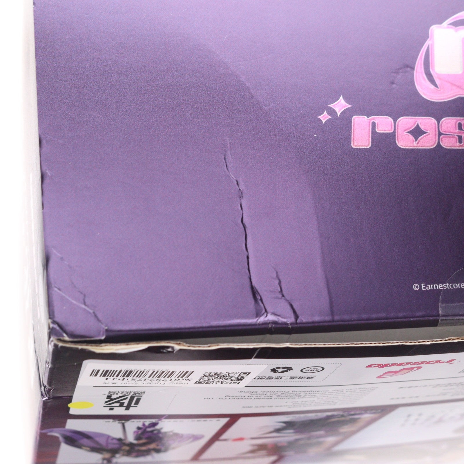 【中古即納】[FIG] rosado Project RS-02 星花・ブラックアイリス 1/10 完成品 アクションフィギュア(海外流通版) 核誠治造(EARNESTCORE CRAFT/アニスコル)(20250630)