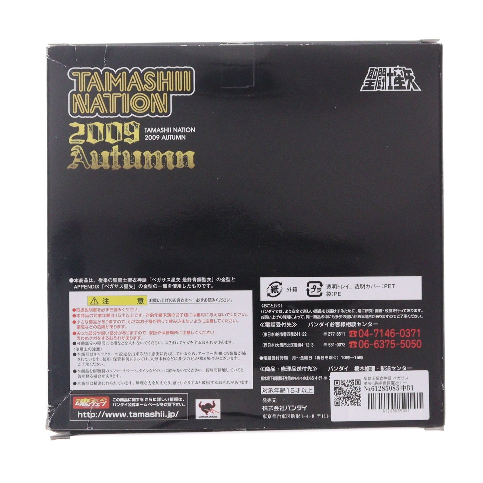 【中古即納】[FIG] 聖闘士聖衣神話 ペガサス星矢(最終青銅聖衣) ～ORIGINAL COLOR EDITION～ 聖闘士星矢 完成品 可動フィギュア 魂ネイション2009Autumn&魂ウェブ商店限定 バンダイ(20091130)
