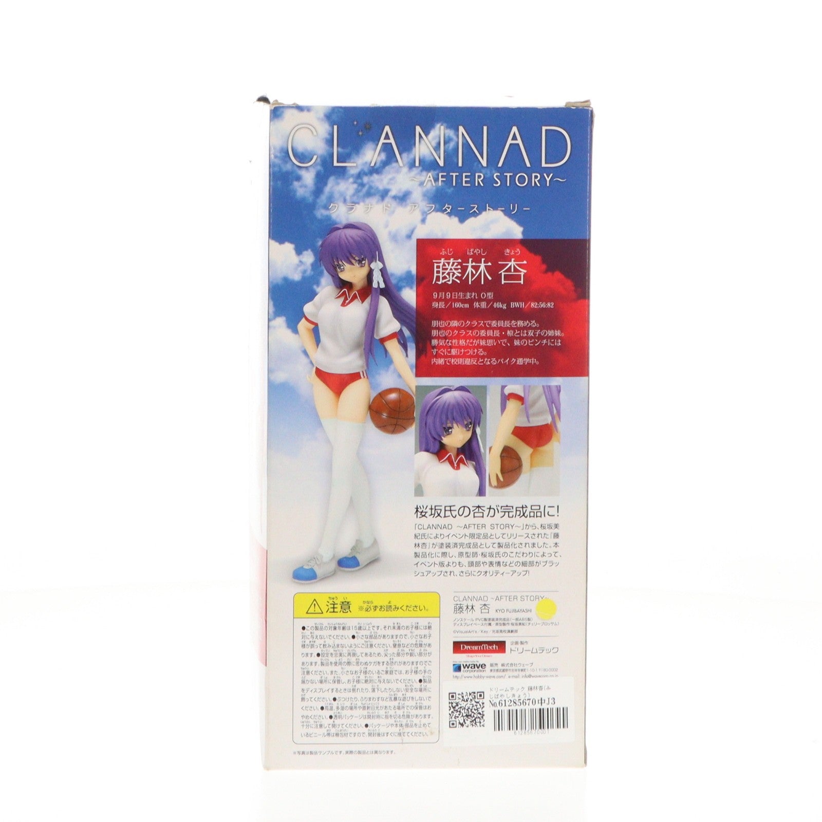 【中古即納】[FIG] ドリームテック 藤林杏(ふじばやしきょう) CLANNAD ～AFTER STORY～(クラナド アフターストーリー) 1/7 完成品 フィギュア ウェーブ(WAVE)(20100601)