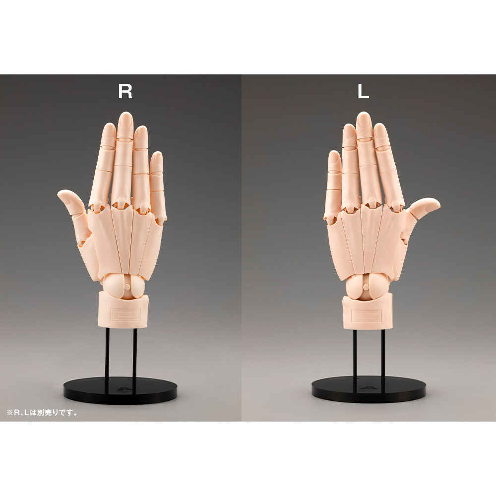 【中古即納】[FIG] ARTIST SUPPORT ITEM ハンドモデル/L -PALE ORANGE- 1/1 完成品 可動フィギュア(AT022) コトブキヤ(20241221)