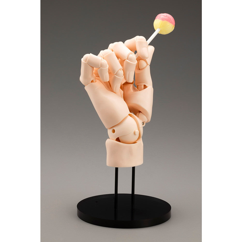 【中古即納】[FIG] ARTIST SUPPORT ITEM ハンドモデル/L -PALE ORANGE- 1/1 完成品 可動フィギュア(AT022) コトブキヤ(20241221)