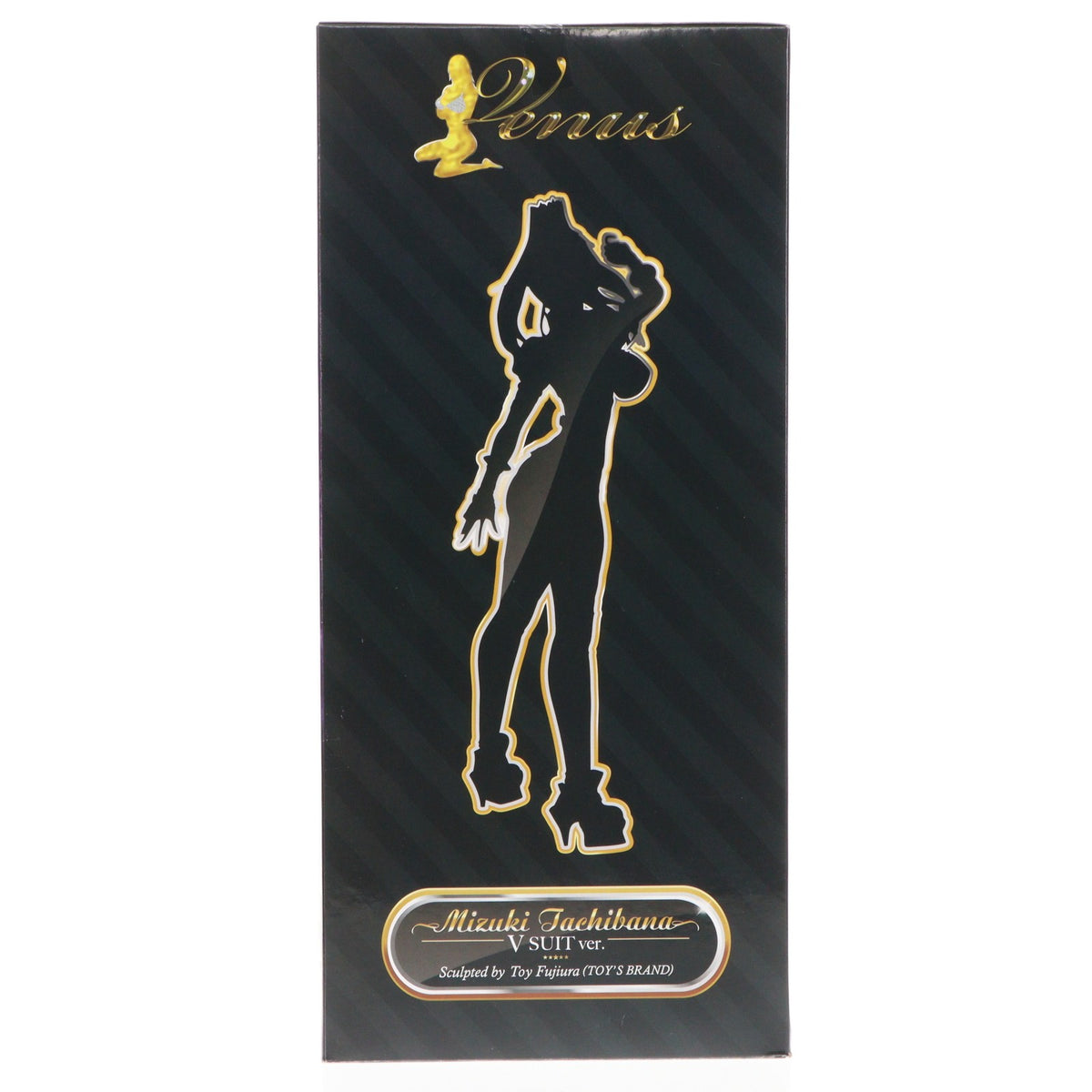 【中古即納】[FIG] ミヅキ・立花(みづきたちばな) Vスーツver. 超重神グラヴィオンZwei 1/4.5 完成品 フィギュア YAMATO(やまと)(20120314)