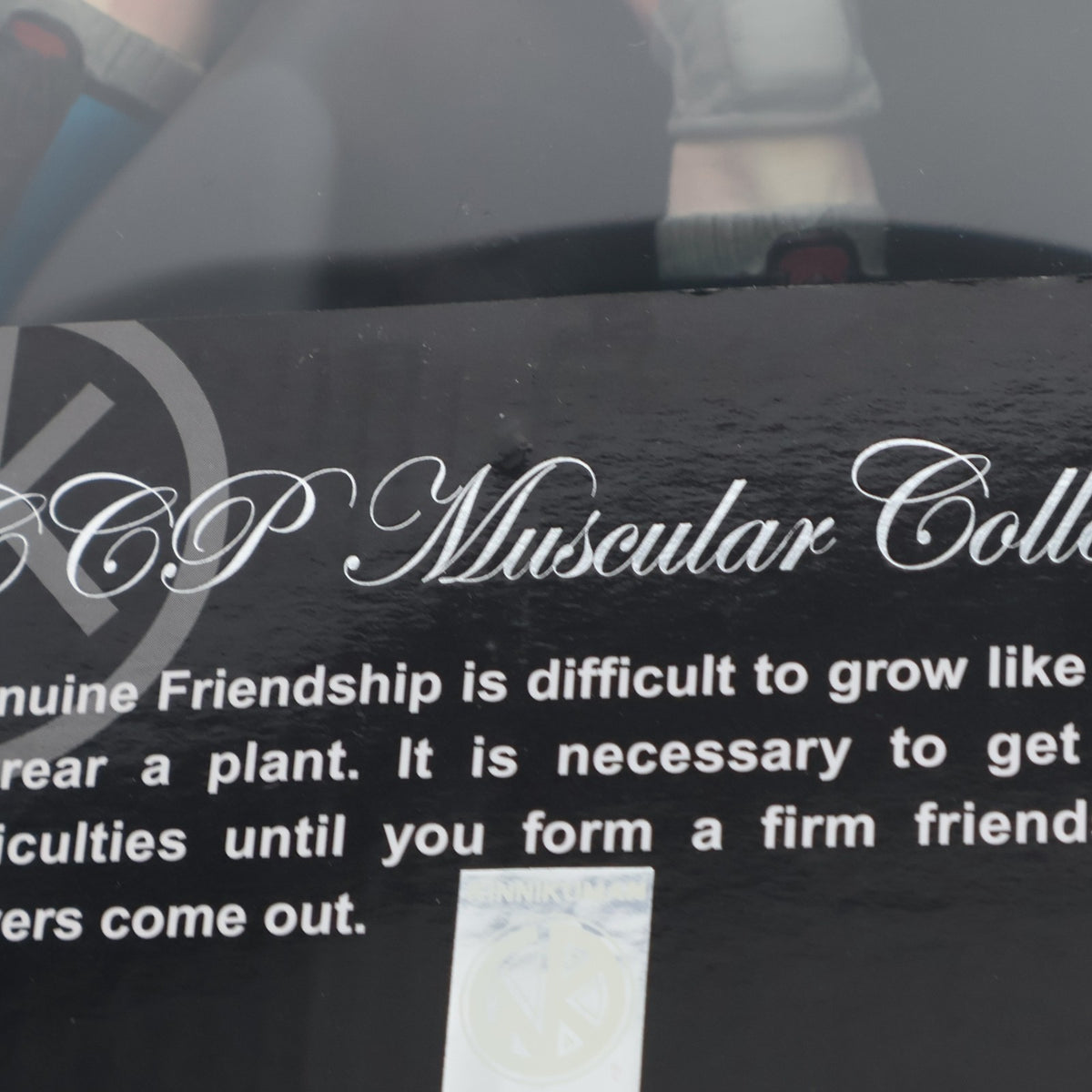 【中古即納】[FIG] CCP Muscular Collection Vol.47 テリーマン 青パンツフリッカーVer. キン肉マン 完成品 フィギュア CCP(20130430)