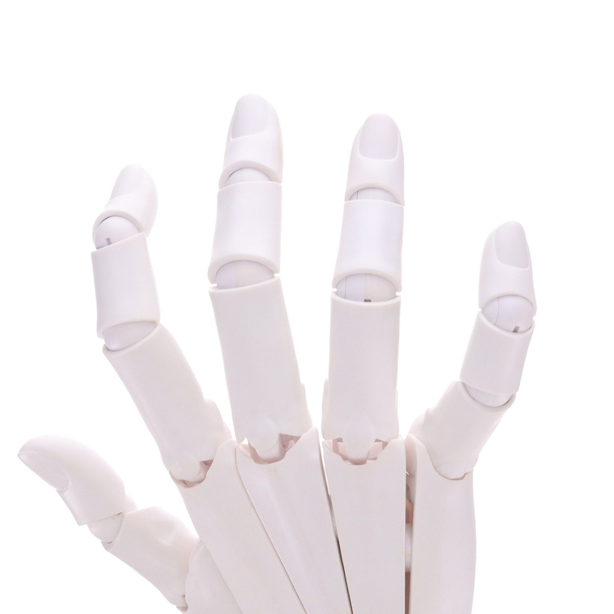 【中古即納】[FIG] (再々販) ARTIST SUPPORT ITEM ハンドモデル/R -GRAY- 1/1 完成品 可動フィギュア(AT005) コトブキヤ(20260531)
