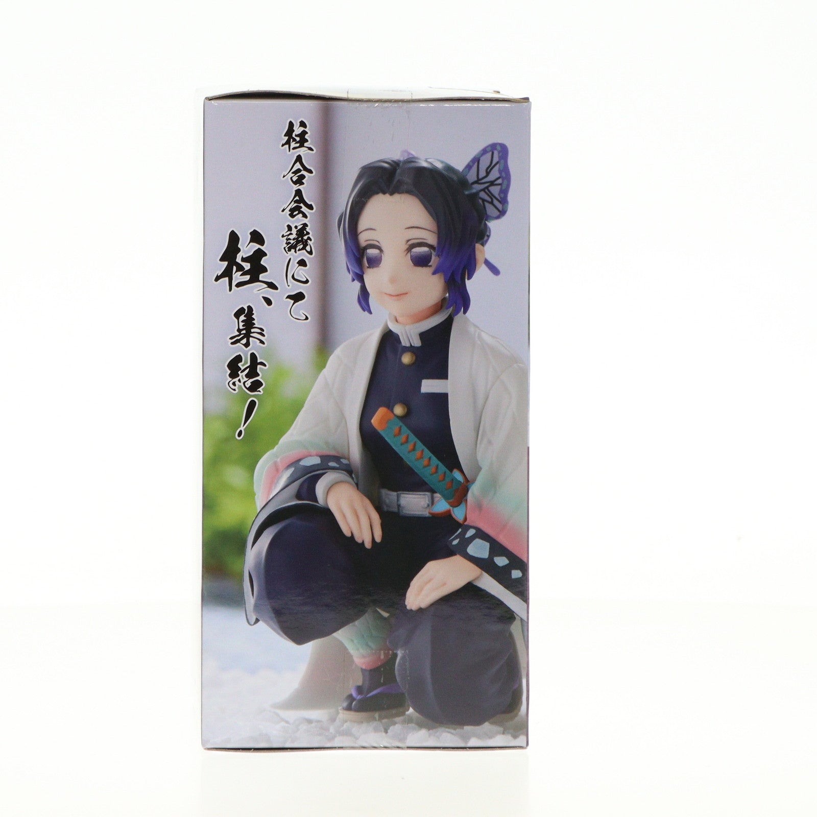 【中古即納】[FIG]胡蝶しのぶ(こちょうしのぶ) 鬼滅の刃 ちょこのせプレミアムフィギュア『胡蝶しのぶ』-柱合会議- プライズ(1110655) セガ(20220930)