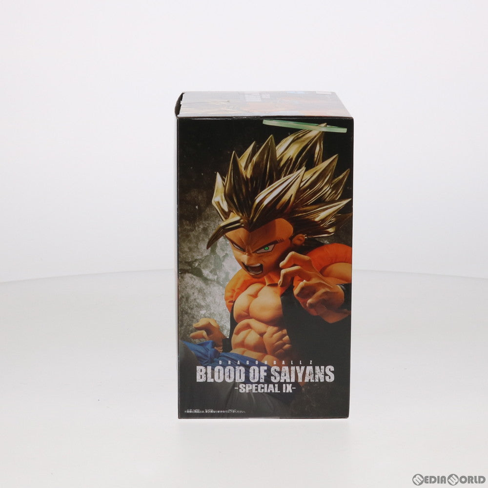 【中古即納】[FIG] 超サイヤ人ゴジータ ドラゴンボールZ BLOOD OF SAIYANS-SPECIAL IX- フィギュア プライズ(82343) バンプレスト(20200820)