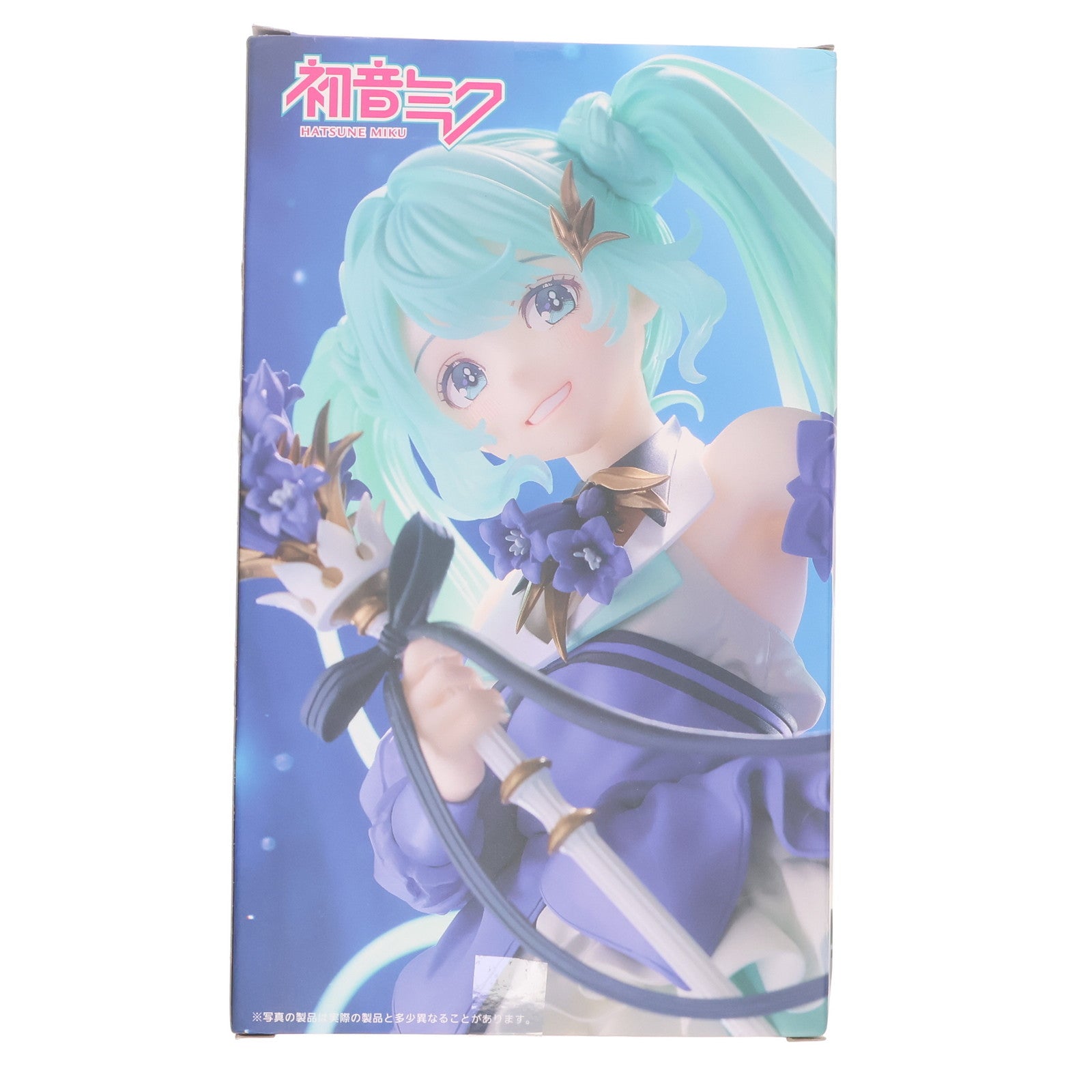【中古即納】[FIG] 初音ミク Birthday2024 AMP+ フィギュア～Flower ver.～ キャラクター・ボーカル・シリーズ01 初音ミク プライズ(451779800) タイトー(20241031)