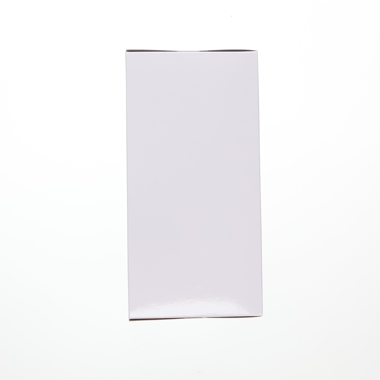 【中古即納】[FIG] タイトーオンラインクレーン限定 レム Re:ゼロから始める異世界生活 Coreful フィギュア レム～猫耳メイver.～ プライズ タイトー(20240930)