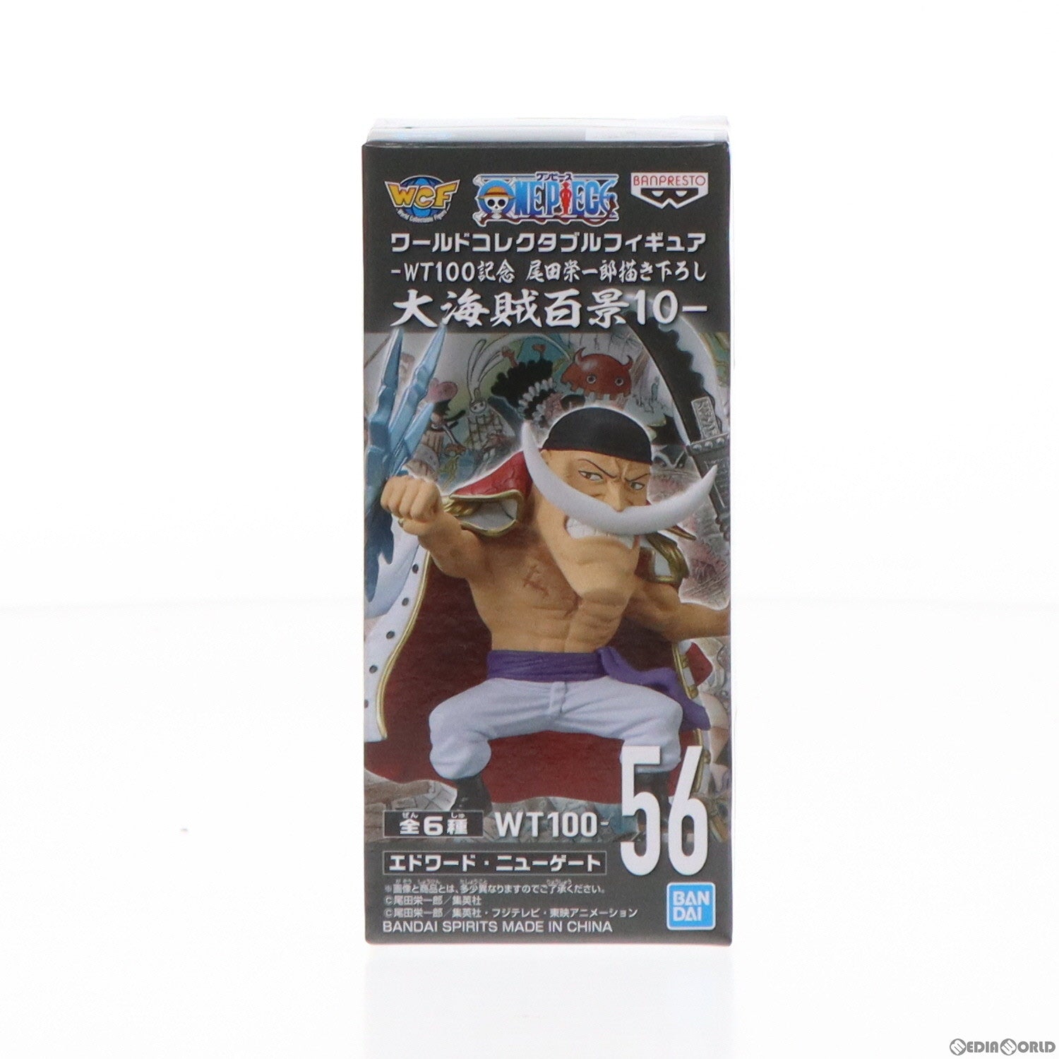 【中古即納】[FIG] エドワード・ニューゲート(白ひげ) ワンピース ワールドコレクタブルフィギュア-WT100記念 尾田栄一郎描き下ろし 大海賊百景10- ONE PIECE プライズ(2583119) バンプレスト(20220831)