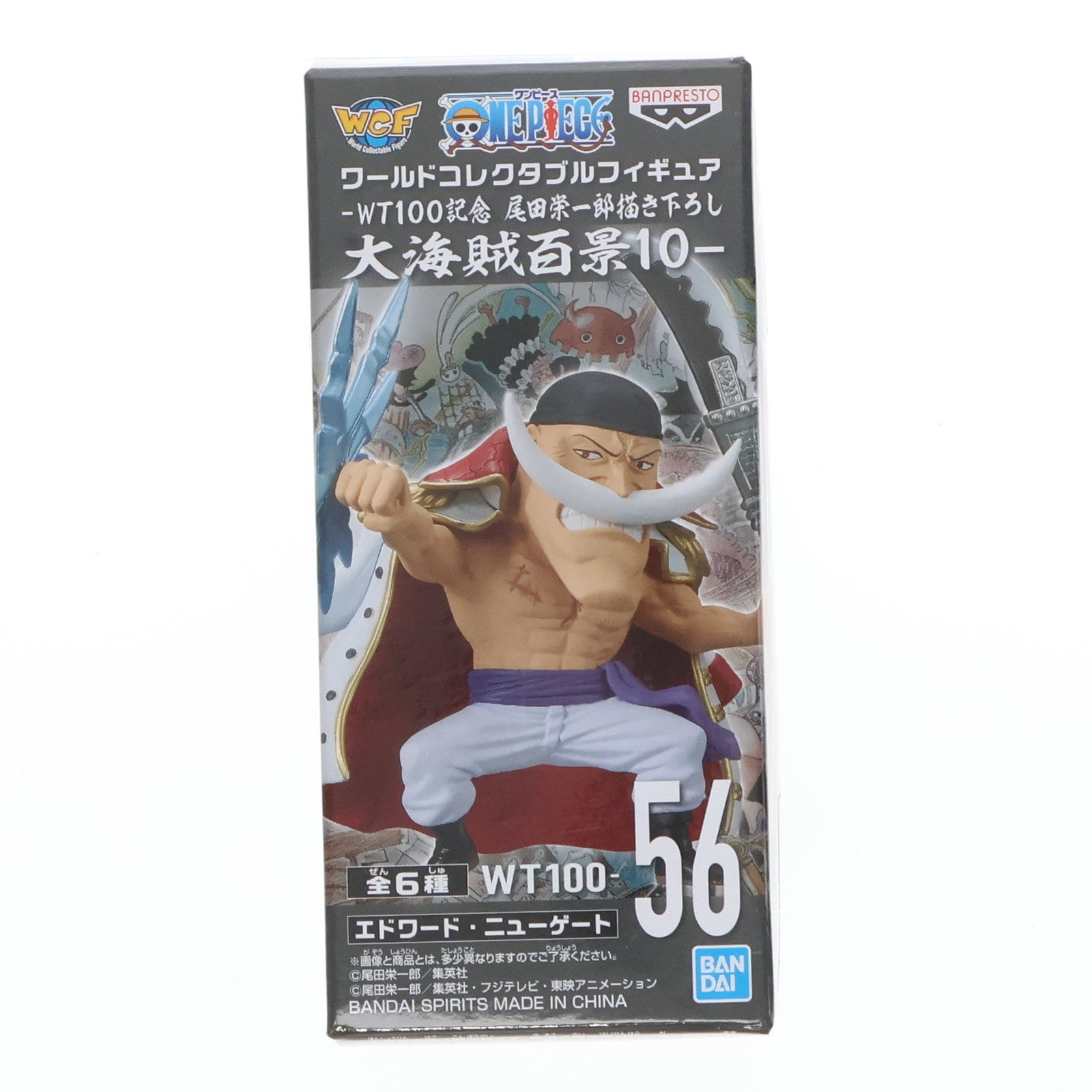 【中古即納】[FIG] エドワード・ニューゲート(白ひげ) ワンピース ワールドコレクタブルフィギュア-WT100記念 尾田栄一郎描き下ろし 大海賊百景10- ONE PIECE プライズ(2583119) バンプレスト(20220831)