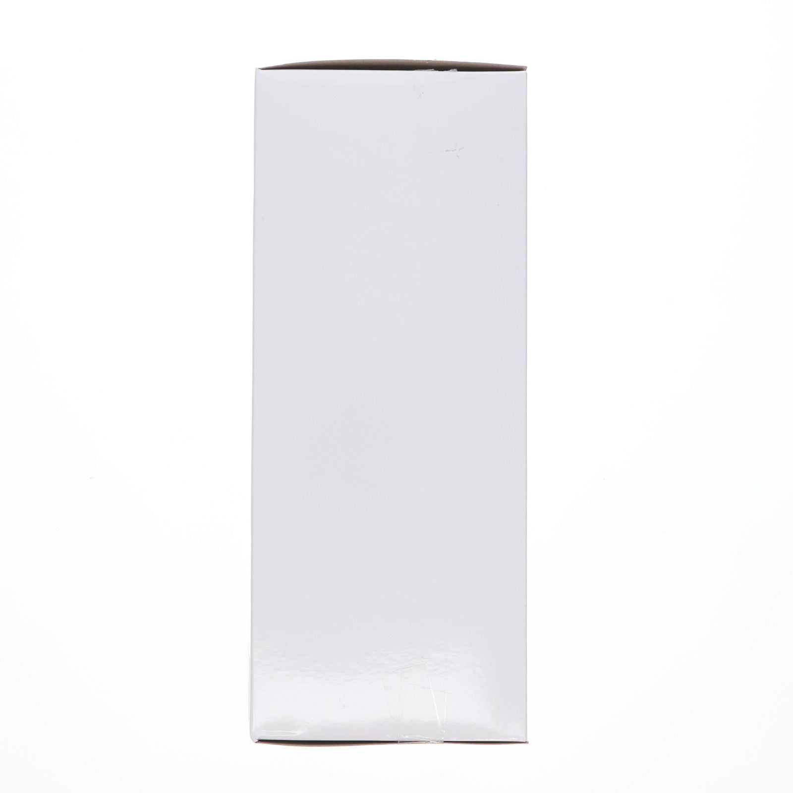 【中古即納】[FIG] タイトーオンラインクレーン限定 レム Re:ゼロから始める異世界生活 プレシャスフィギュア レム～マジシャンver.～Renewal プライズ タイトー(20250210)