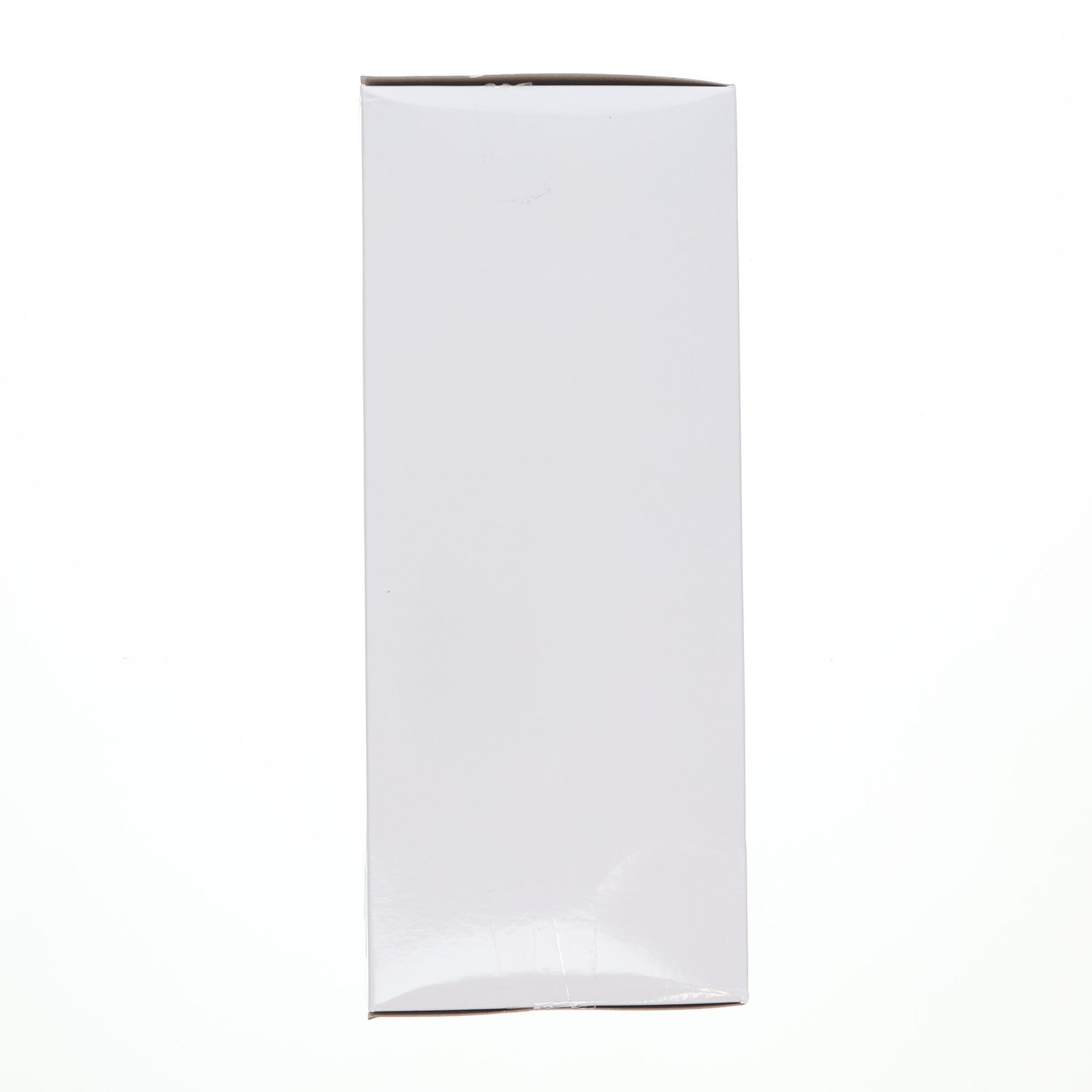 【中古即納】[FIG] タイトーオンラインクレーン限定 レム Re:ゼロから始める異世界生活 プレシャスフィギュア レム～マジシャンver.～Renewal プライズ タイトー(20250210)