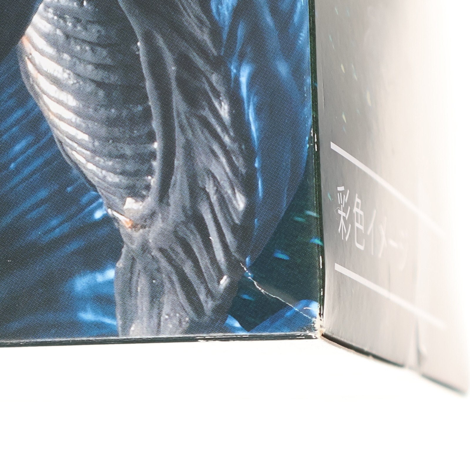 【中古即納】[FIG] エイリアン SSSプレミアムBIGフィギュア プライズ(AMU-PRZ9762/AMU-PRZ12303/AMU-PRZ13512) フリュー(20180930)