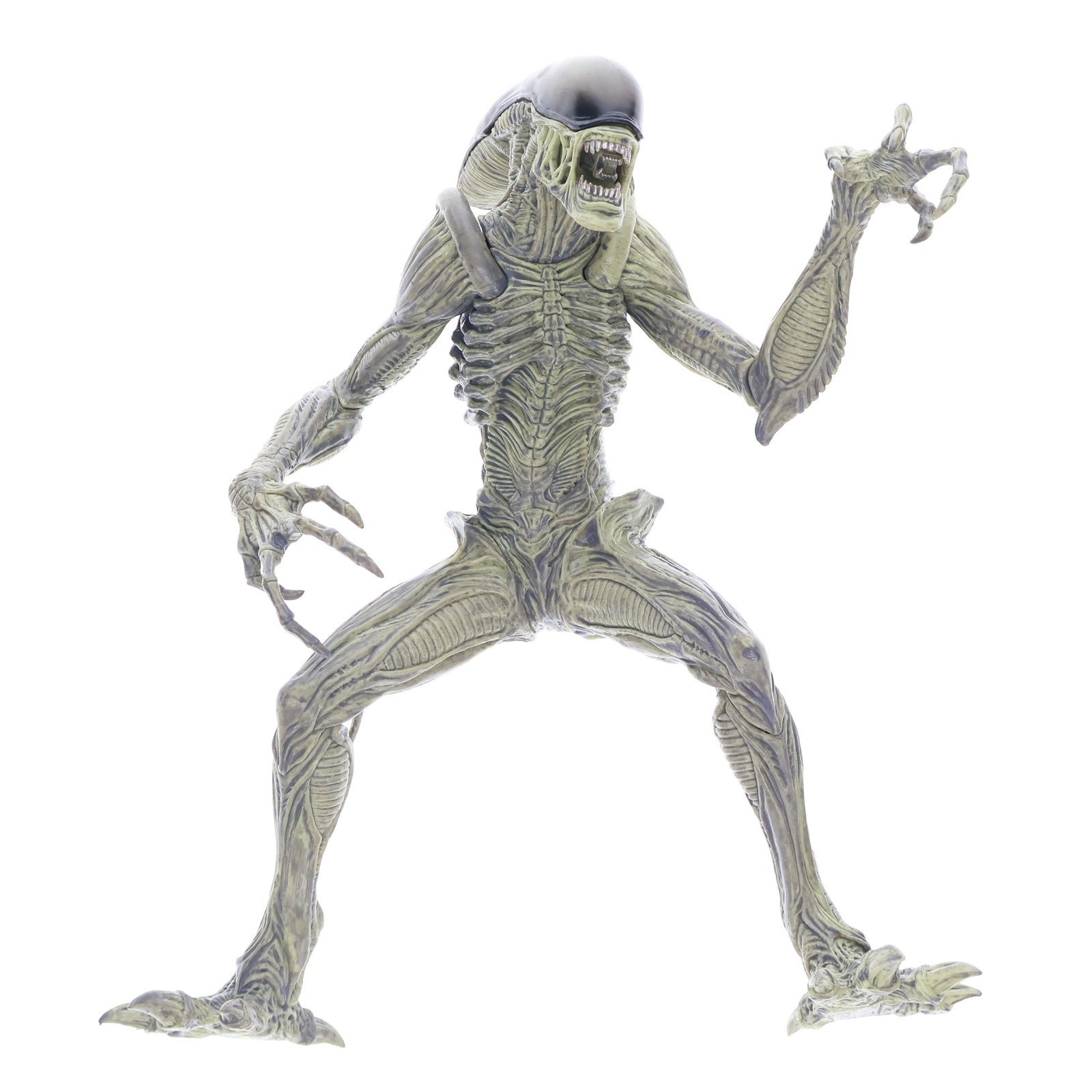 【中古即納】[FIG] エイリアン SSSプレミアムBIGフィギュア エクストームver. プライズ(AMU-PRZ12567) フリュー(20211120)