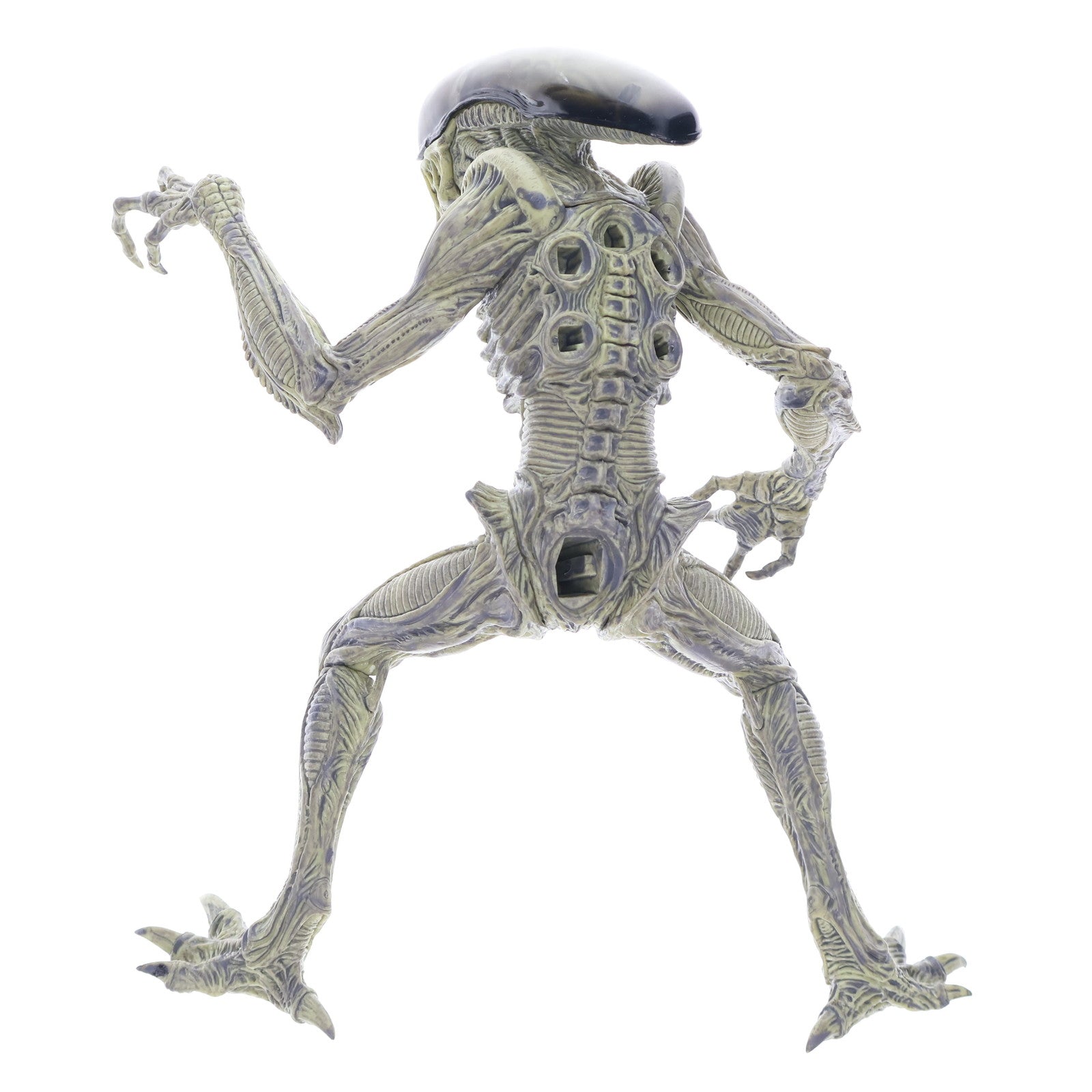 【中古即納】[FIG] エイリアン SSSプレミアムBIGフィギュア エクストームver. プライズ(AMU-PRZ12567) フリュー(20211120)