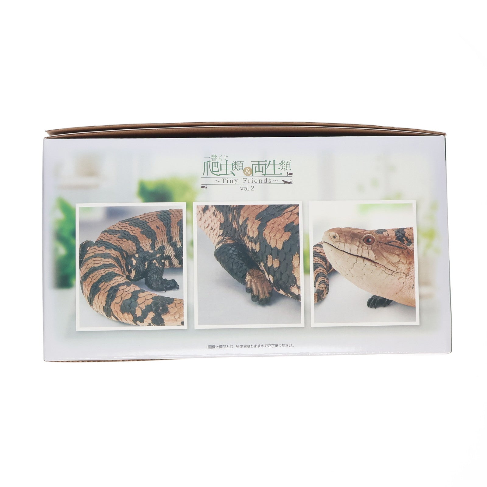 【中古即納】[FIG] A賞 アオジタトカゲ フィギュア 一番くじ 爬虫類&両生類～Tiny Friends～vol.2 プライズ バンダイスピリッツ(20250725)