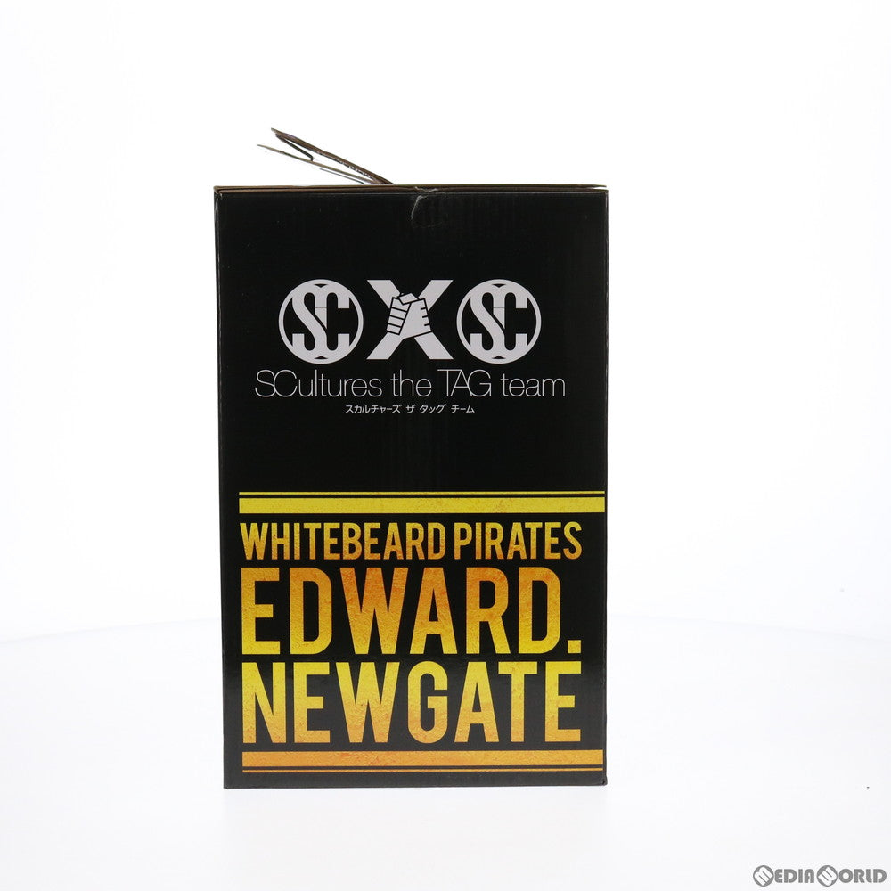 【中古即納】[FIG] B賞 SCultures the TAG team 彩式エドワード・ニューゲート フィギュア 一番くじ ワンピース メモリーズ2 ONE PIECE プライズ(14114) バンプレスト(20160701)