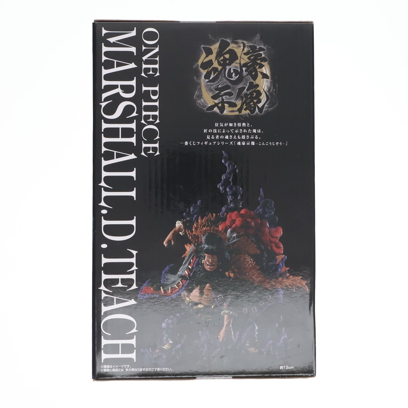 【中古即納】[FIG] B賞 マーシャル・D・ティーチ -魂豪示像- 一番くじ ワンピース EX 悪魔を宿す者達 vol.2 ONE PIECE フィギュア プライズ バンダイスピリッツ(20230708)