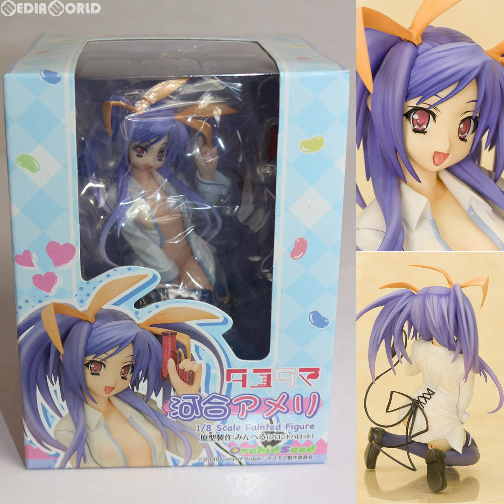 【中古即納】[FIG]河合アメリ(かわいあめり) タユタマ 1/8 完成品 フィギュア オーキッドシード(20100622)