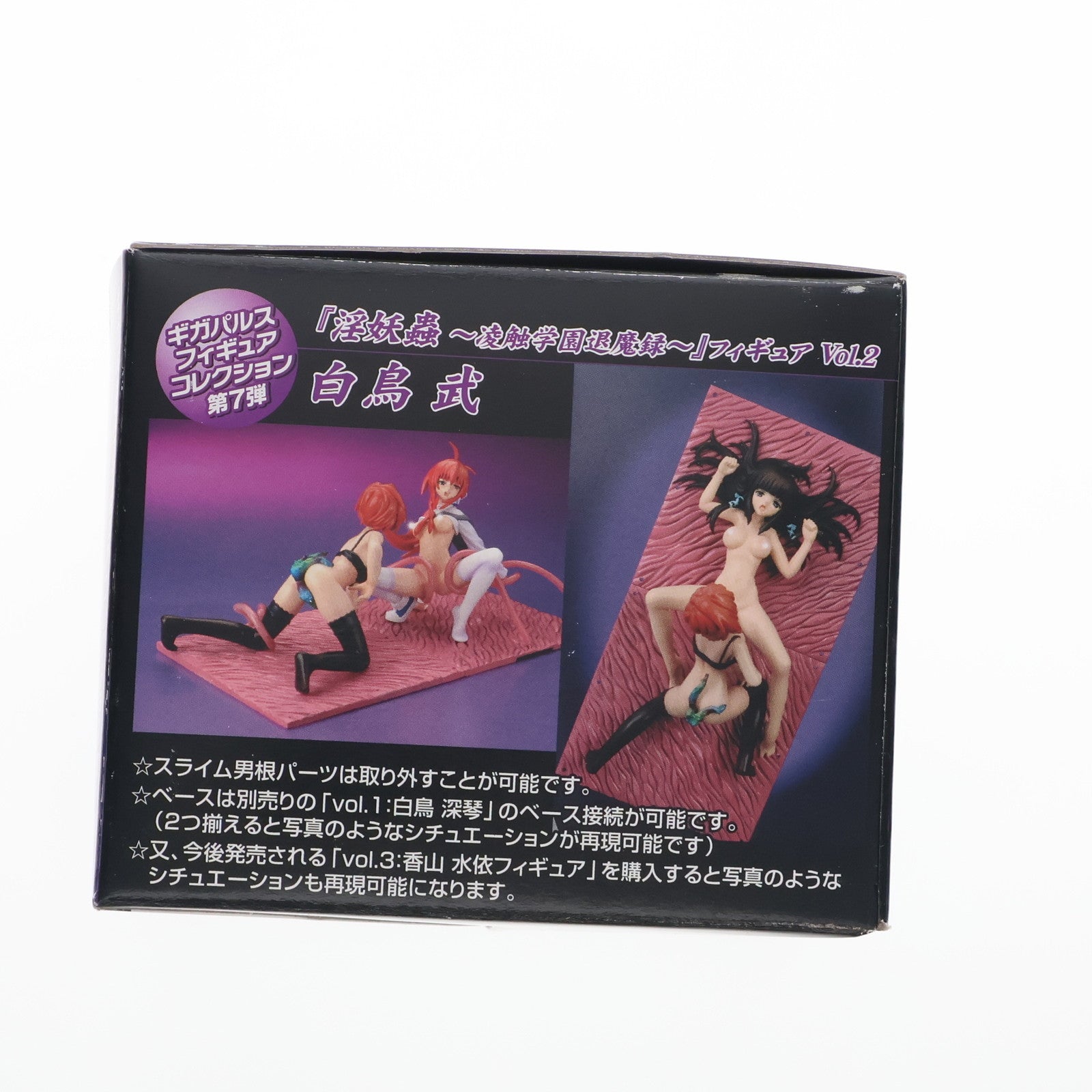 【中古即納】[FIG] ギガパルスフィギュアコレクション 第7弾 白鳥武(しらとりたける) Vol.2 淫妖蟲～凌触学園退魔録～ 完成品 フィギュア ギガパルス(20061026)
