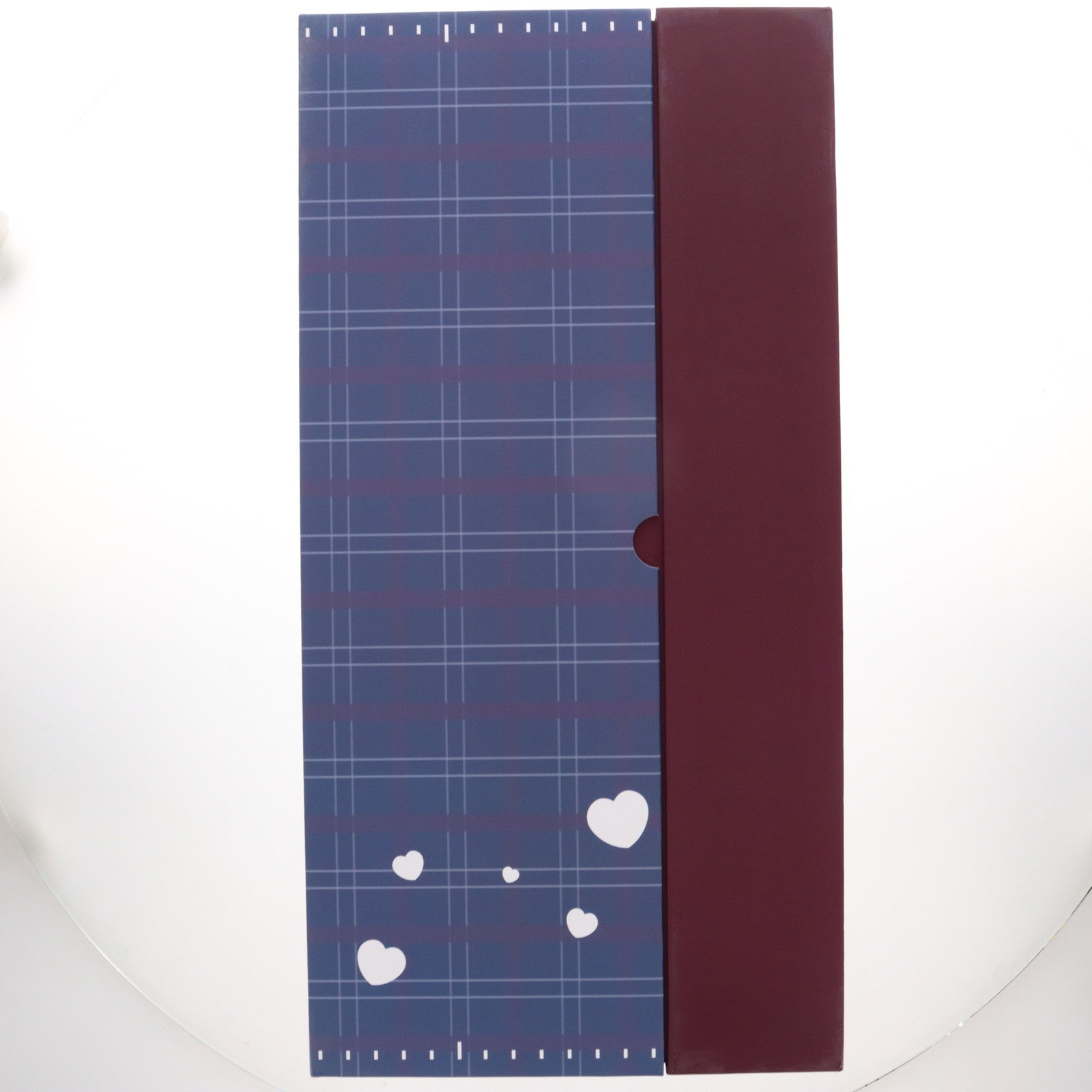 【中古即納】[FIG] ポストカード付属 ネイティブクリエイターズコレクション 足で自撮り少女 加瀬大輝オリジナルキャラクター 1/6 完成品 フィギュア HOTVENUS(ホットビーナス)/ネイティブ(20250531)